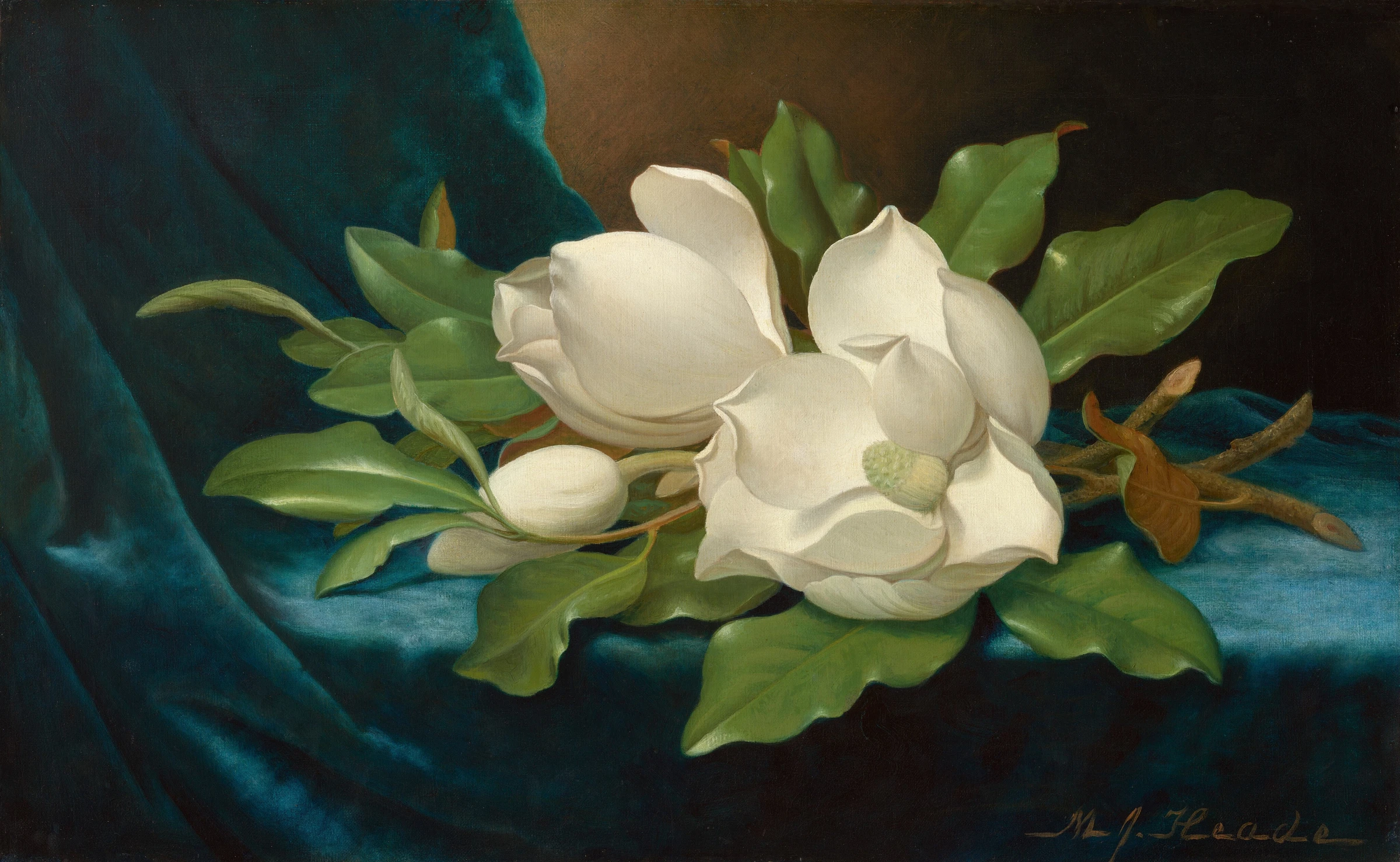 Giant Magnolias On A Blue Velvet Cloth 1996.14.1