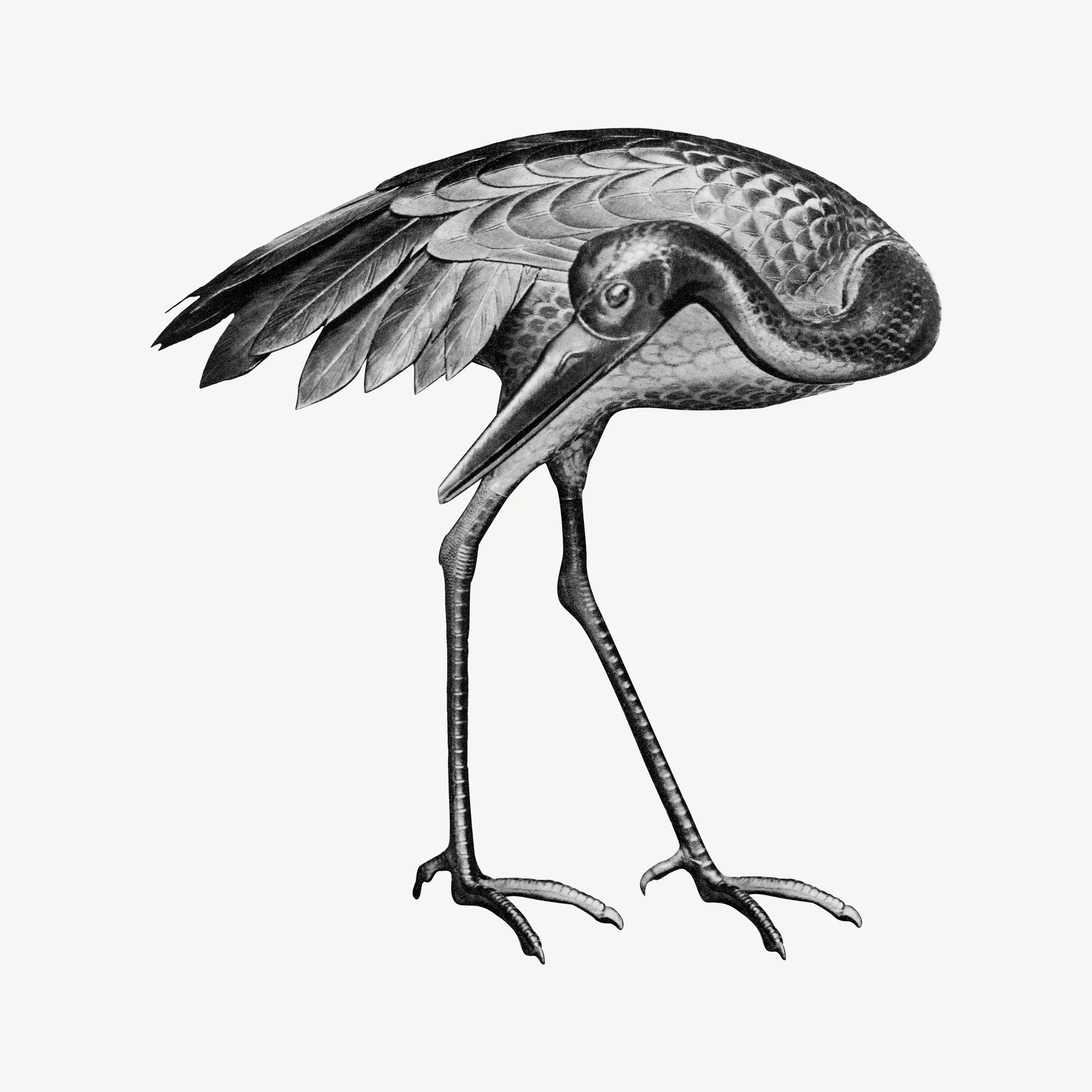animals (130)