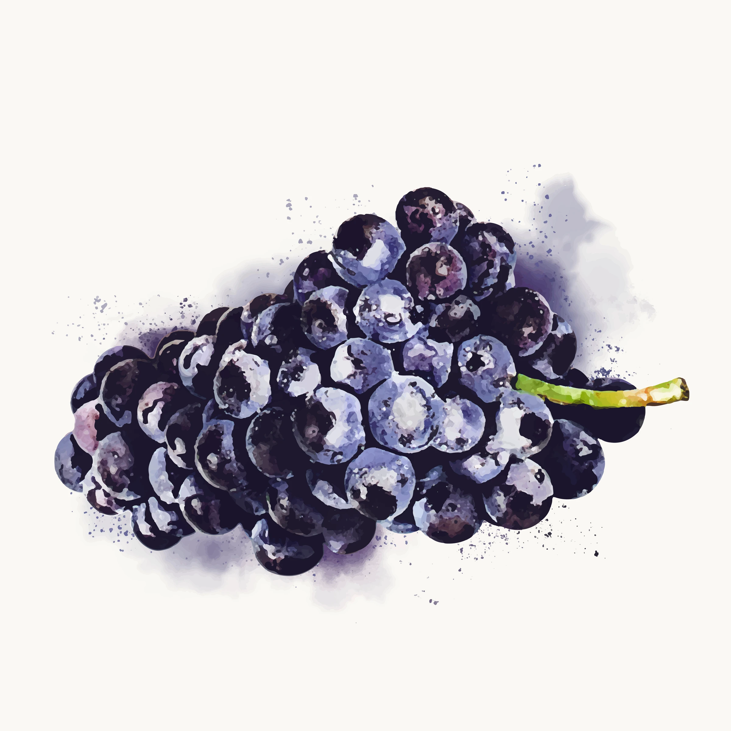 fruitss (139)