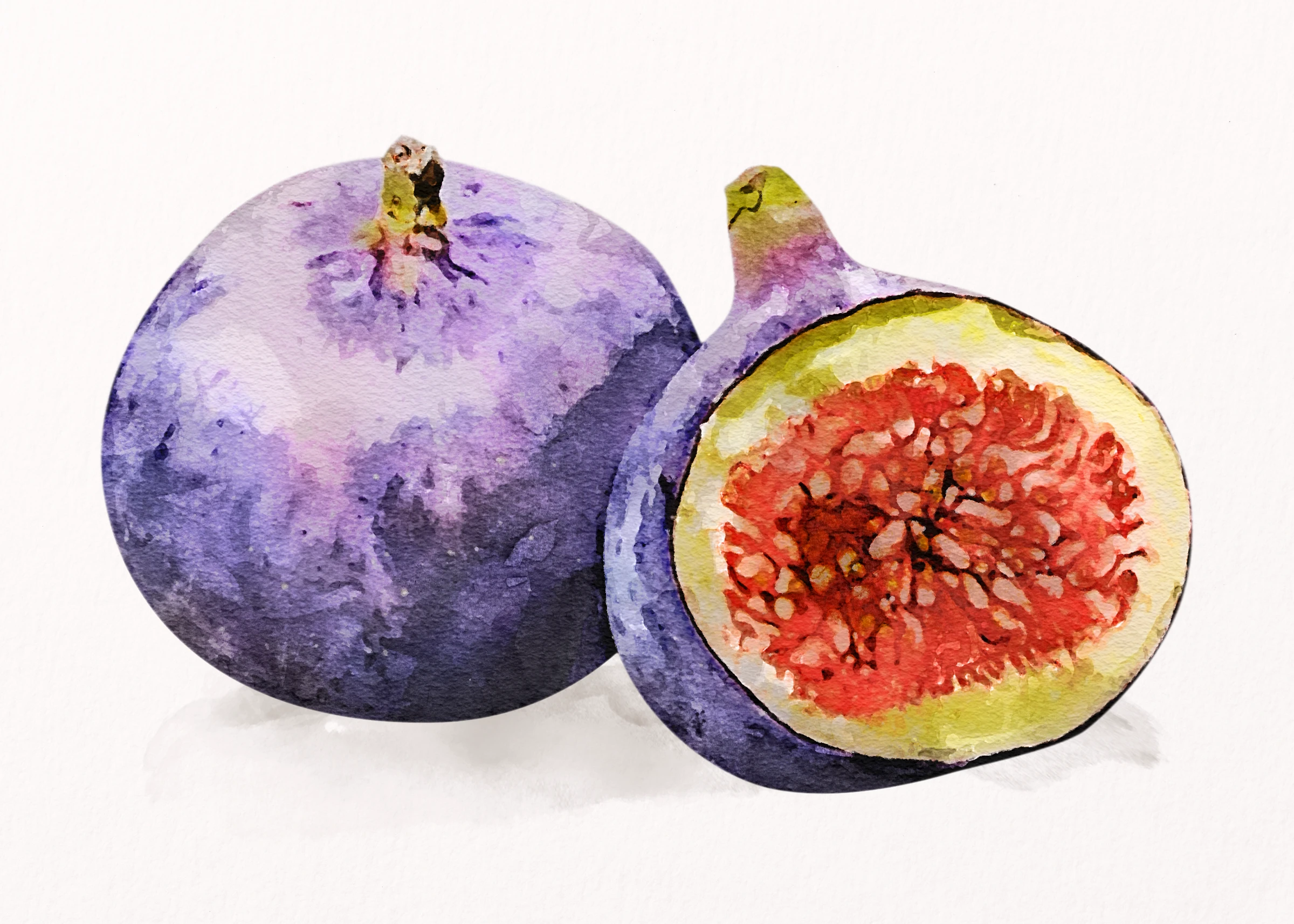 fruitss (107)