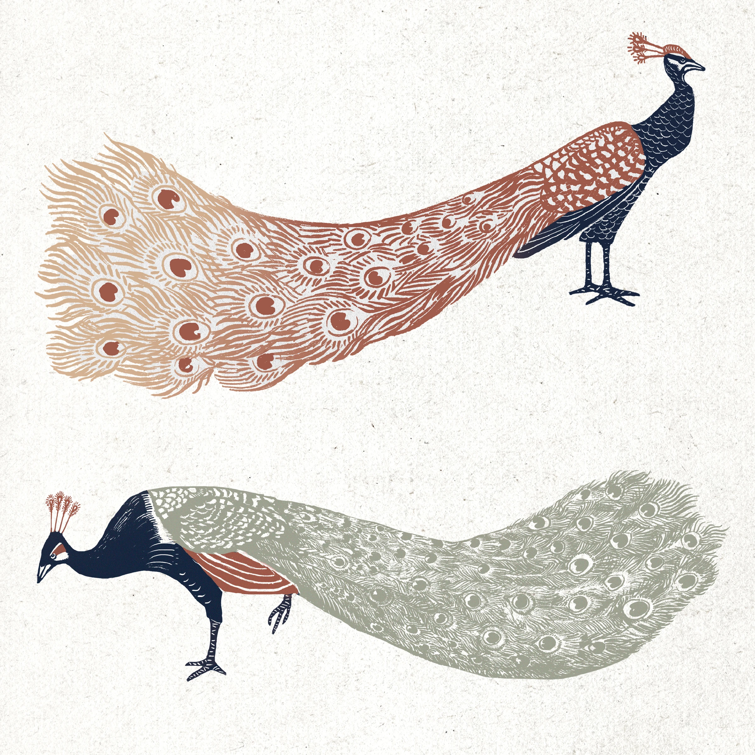animals (9)