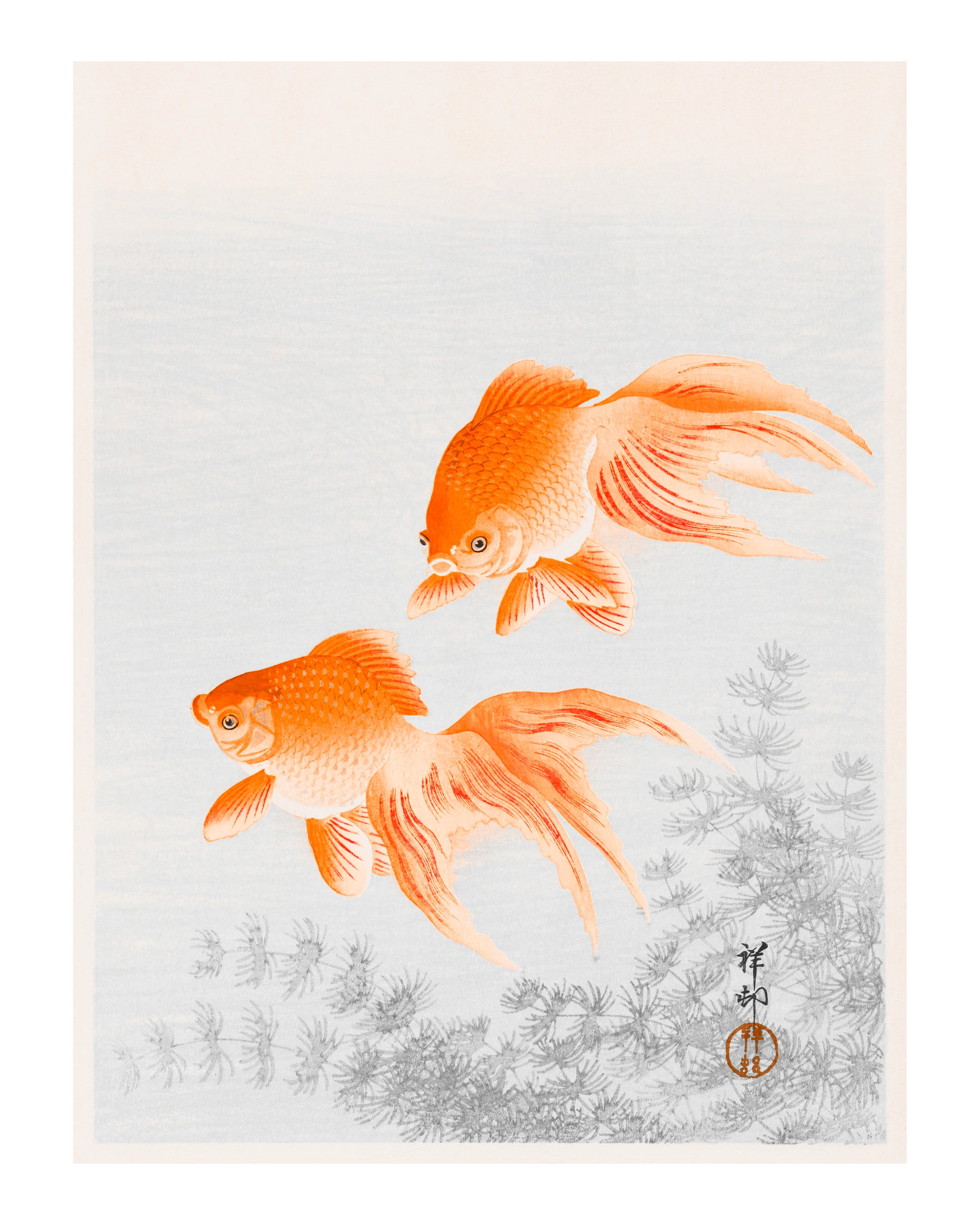animals (328)