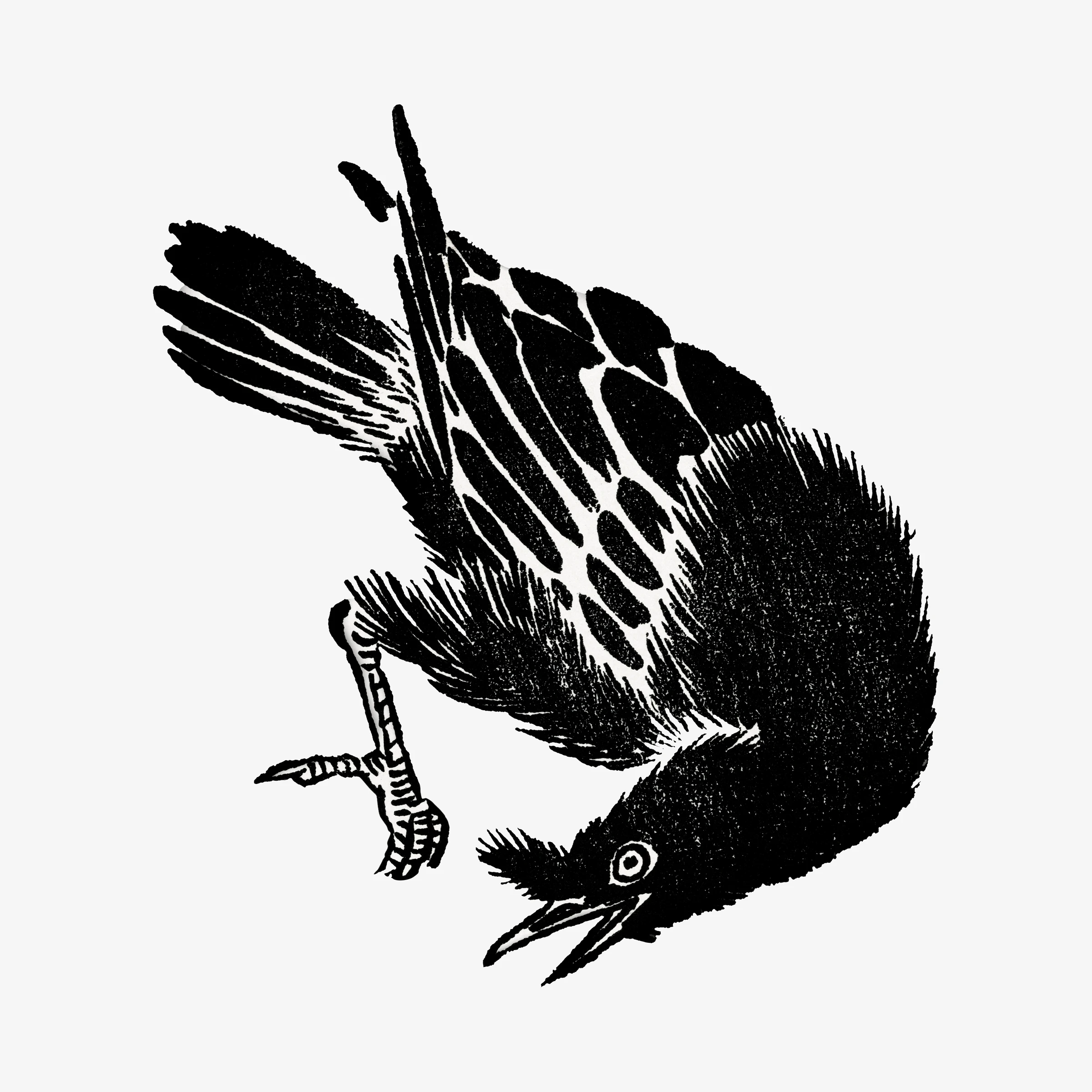 animals (123)