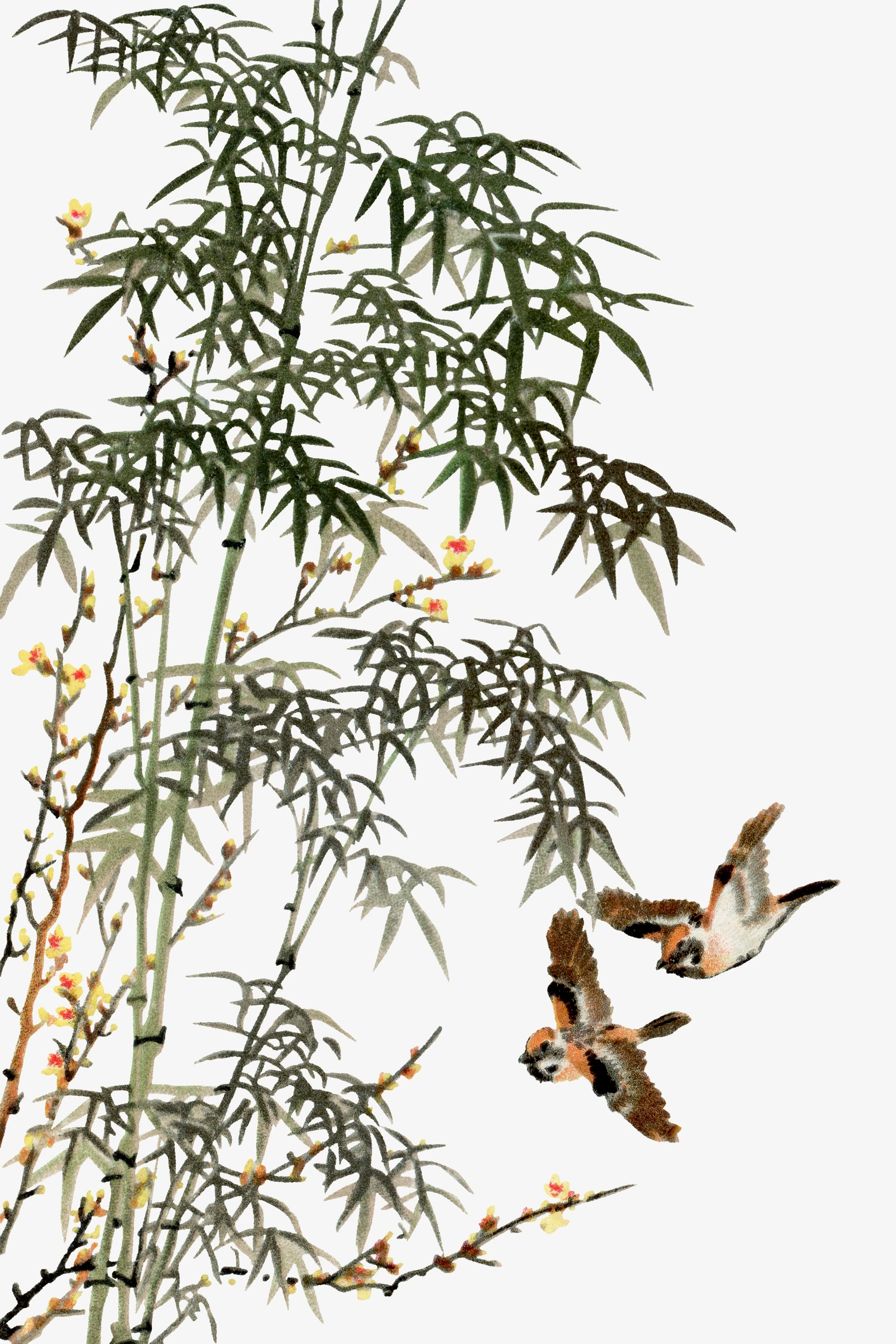 animals (121)