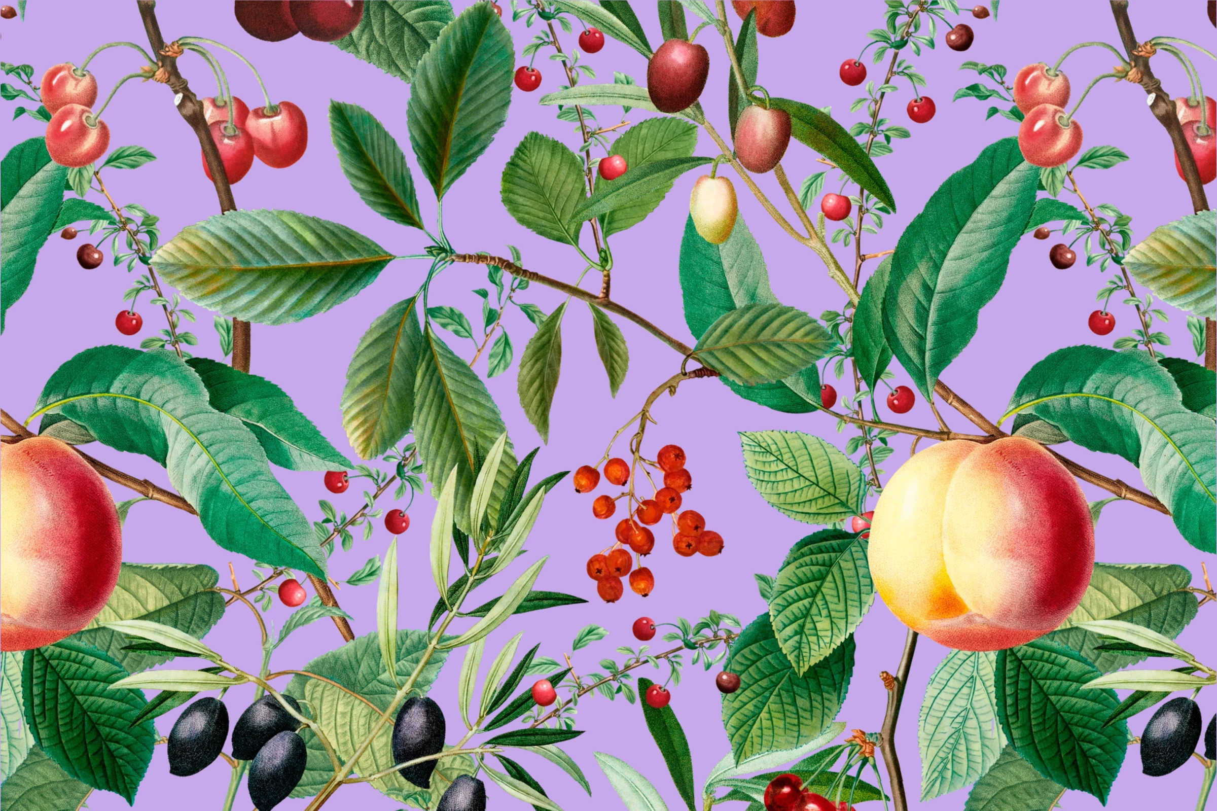fruitss (160)