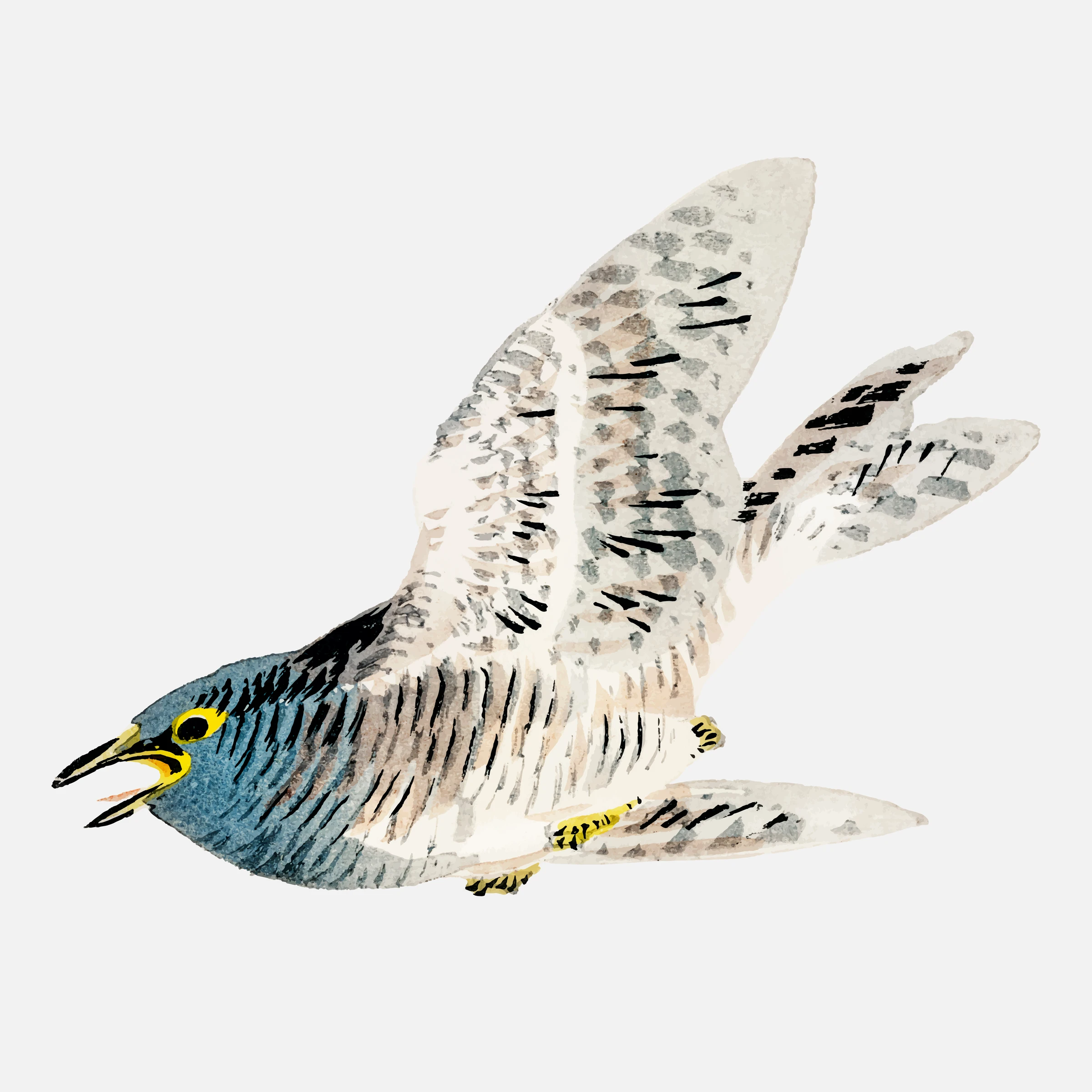 animals (233)