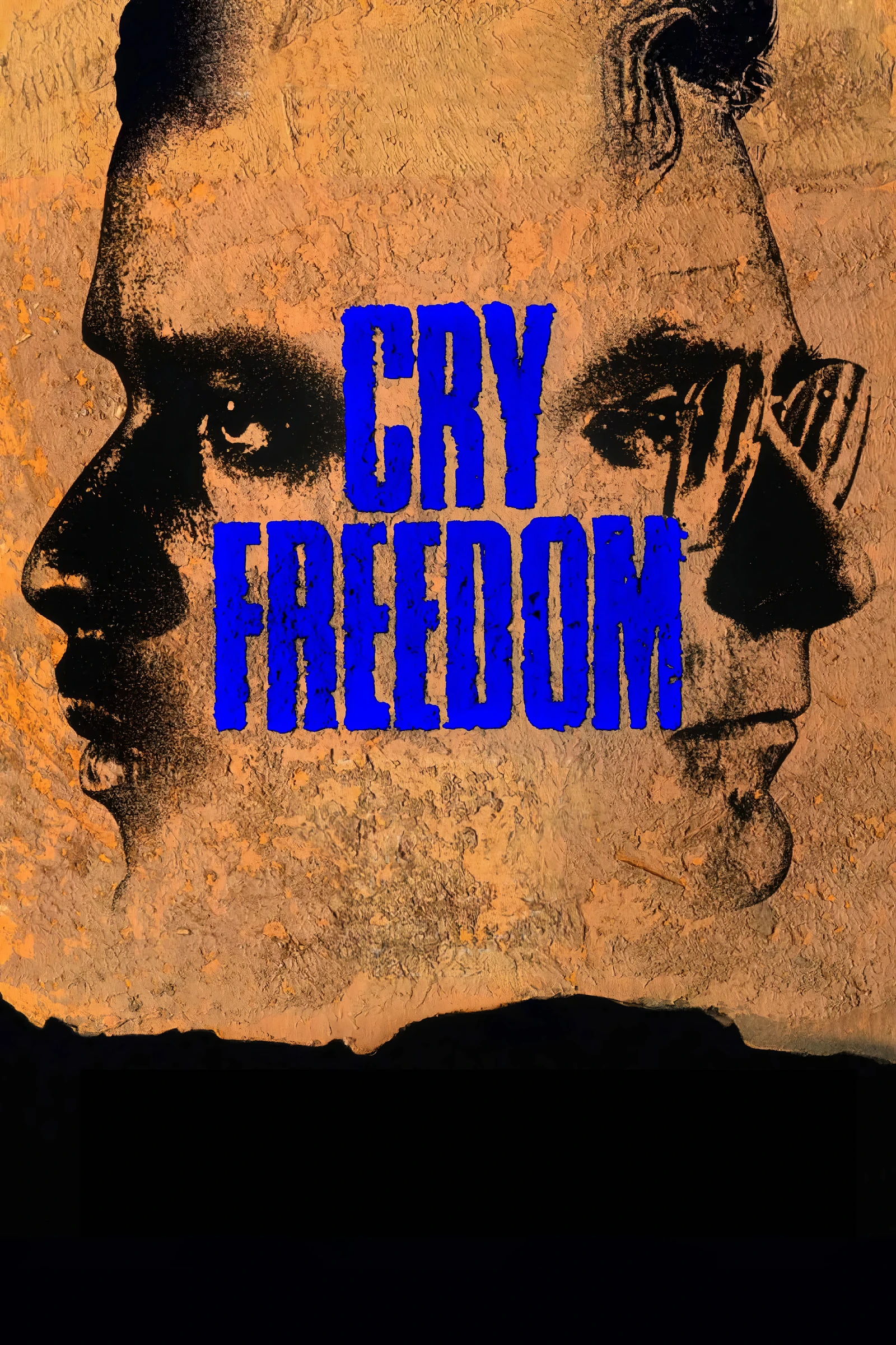 Cry Freedom (1987)