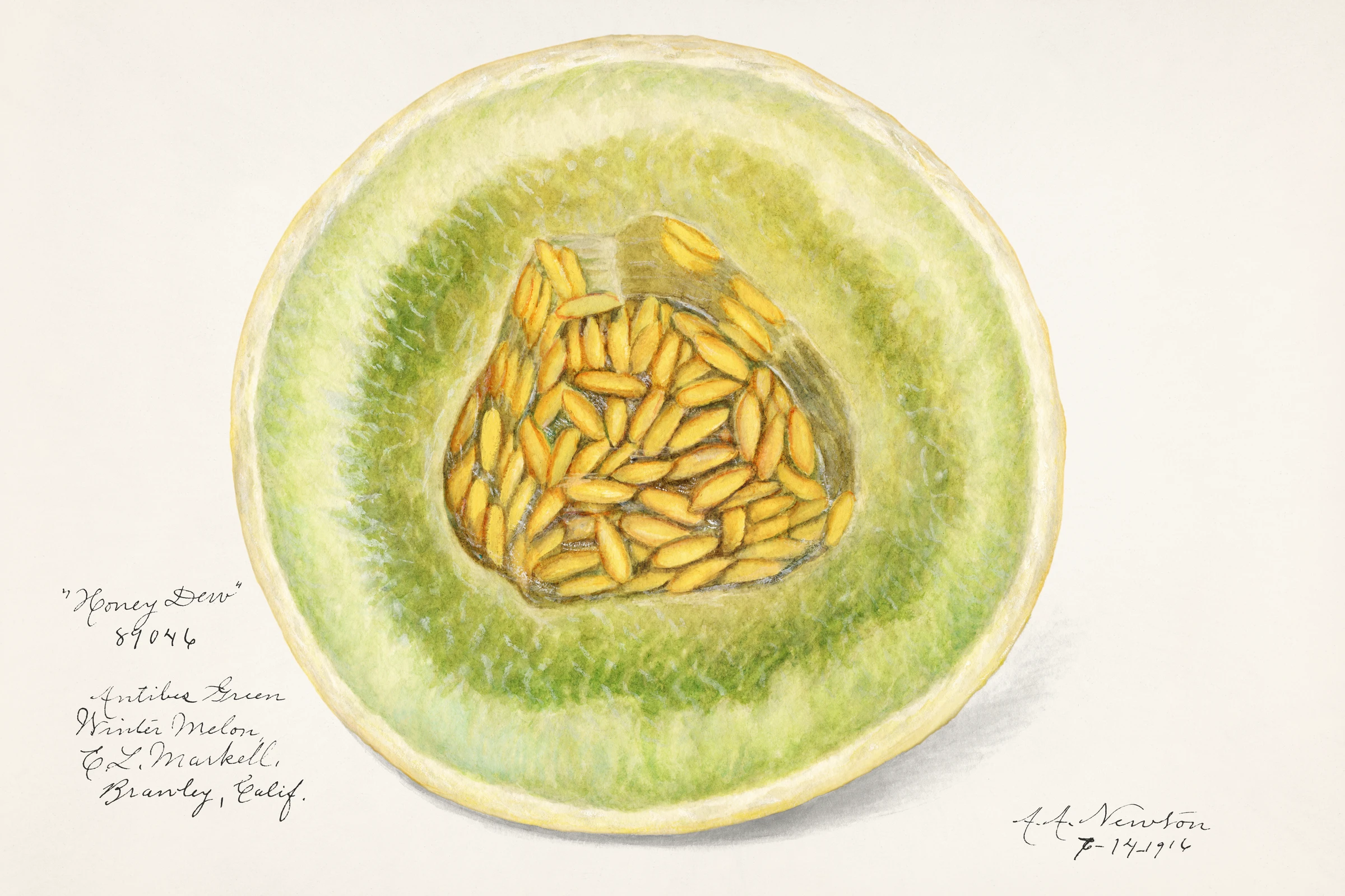 fruits471