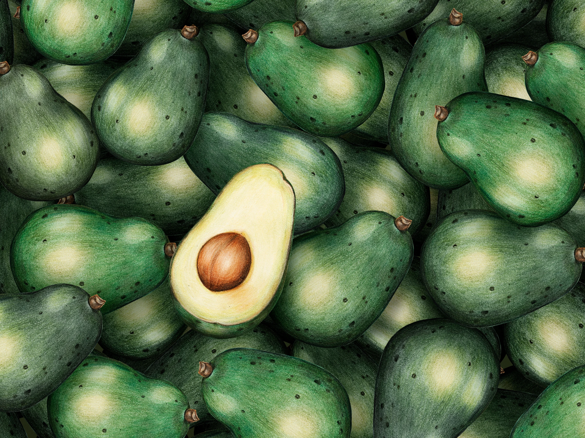 fruits493