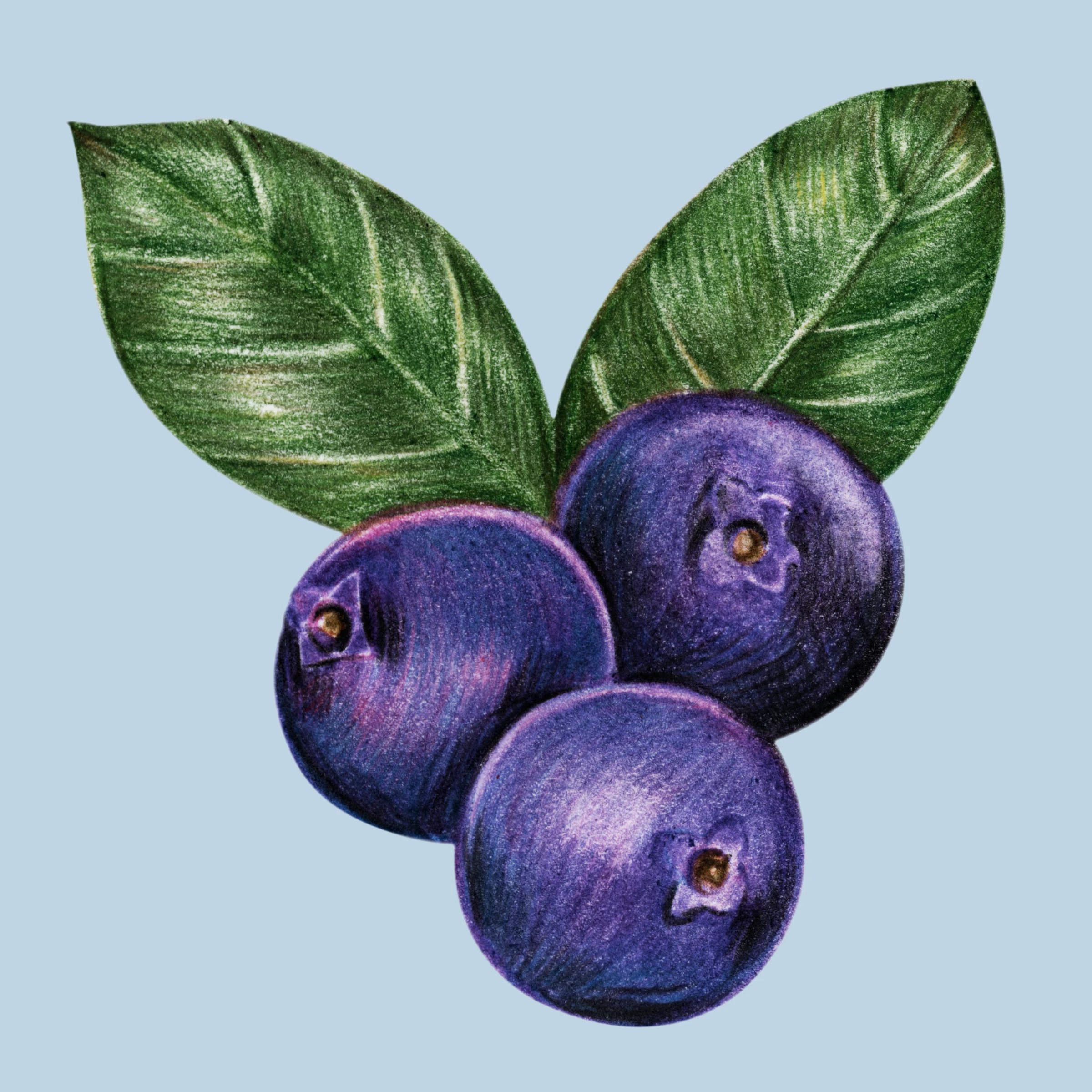 fruitss (200)