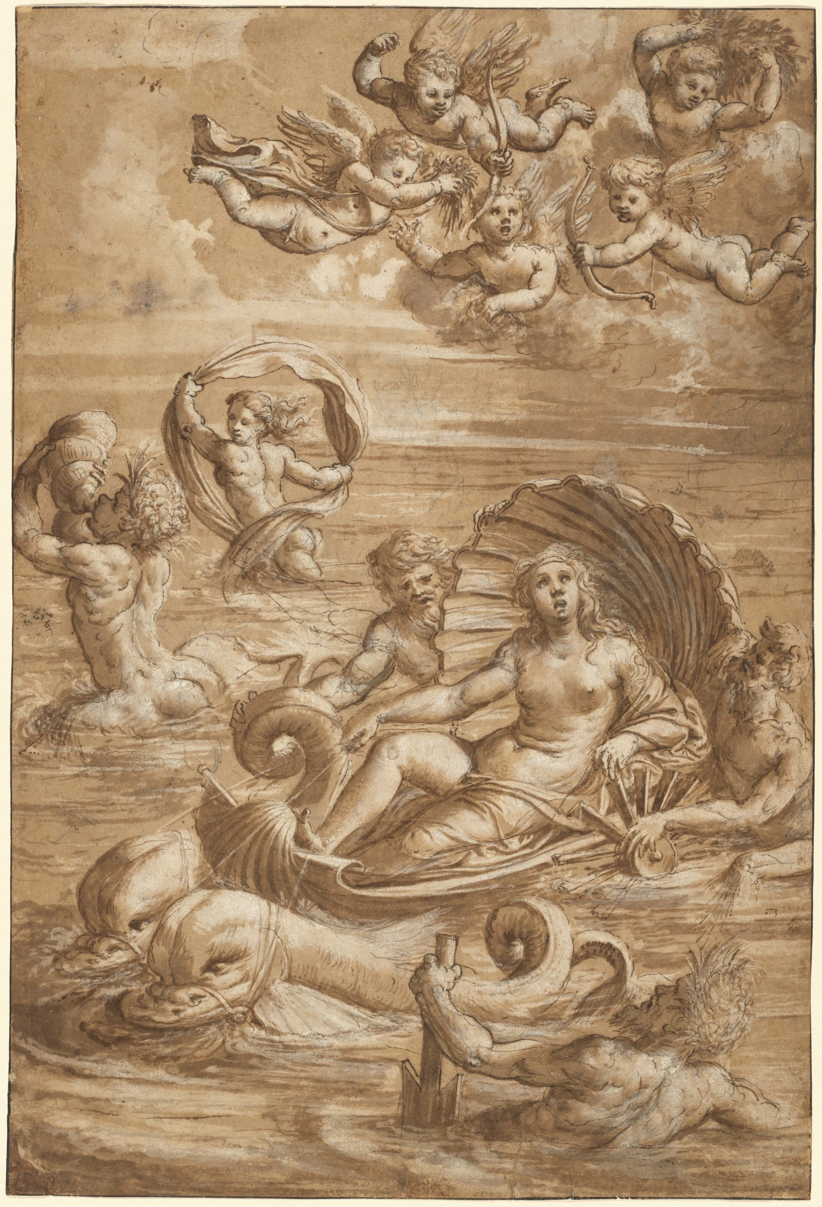 the triumph of galatea 1973.46.1