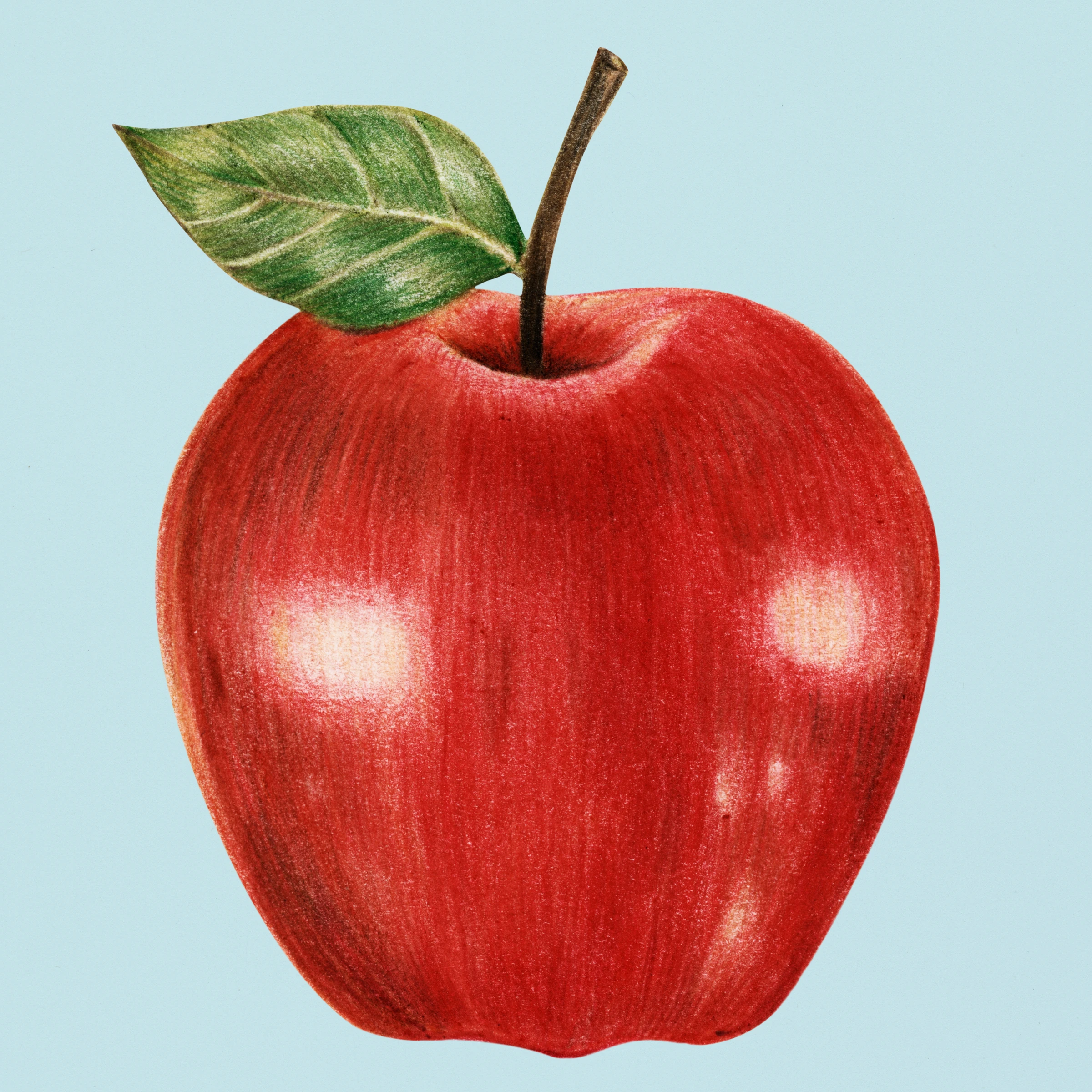 fruitss (198)