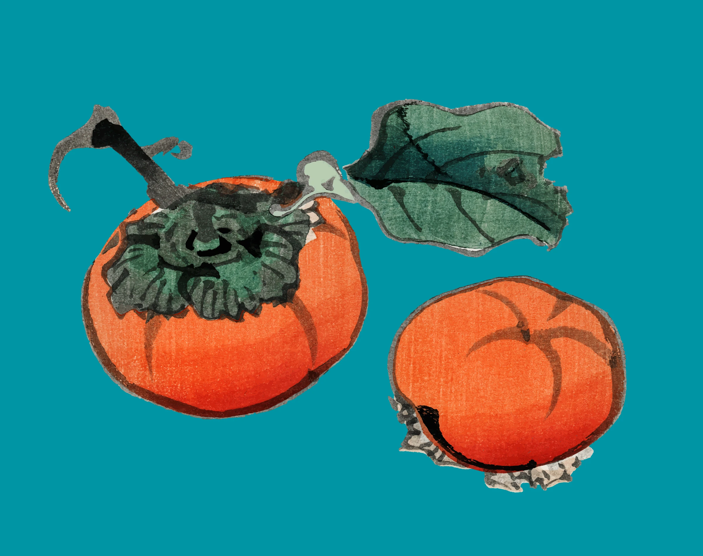 fruits464