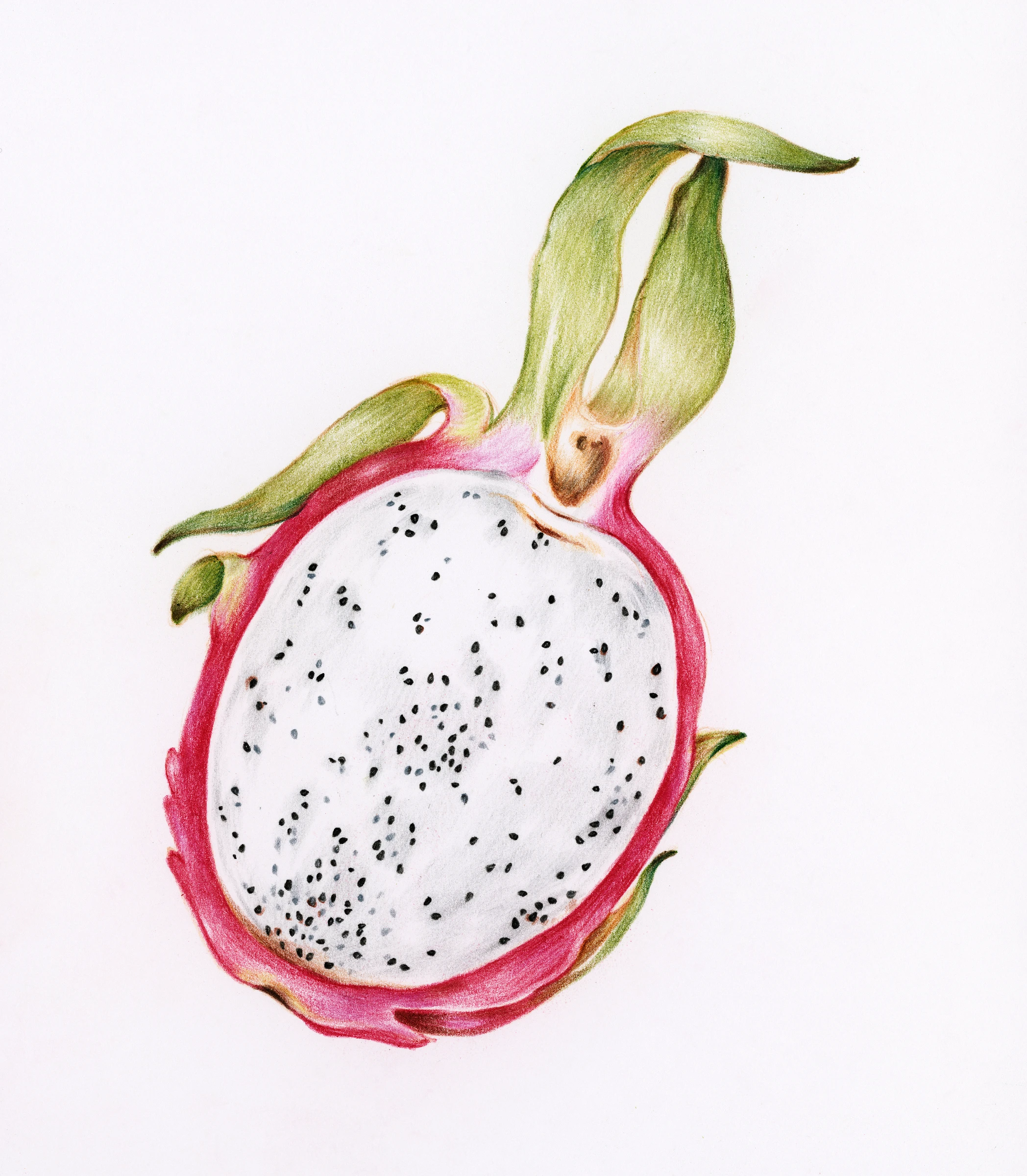 fruitss (188)