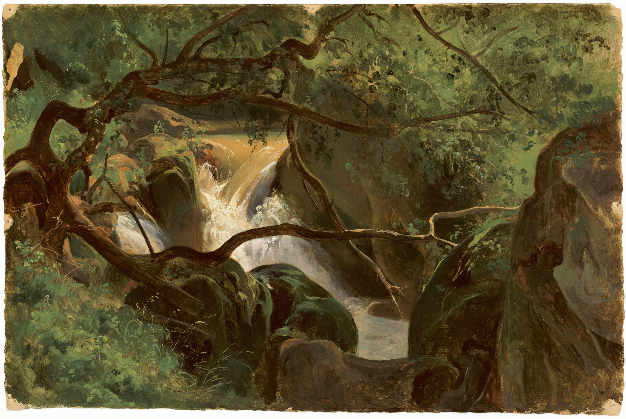 Forest Interior With A Waterfall, Papigno 1994.52.4