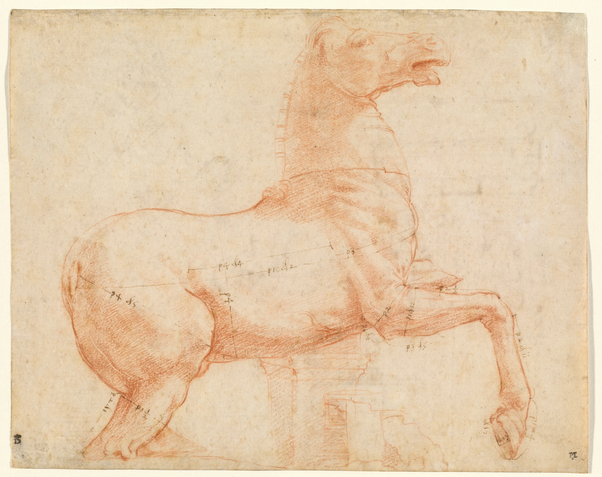 a marble horse on the quirinal hill recto 1993.51.3.a