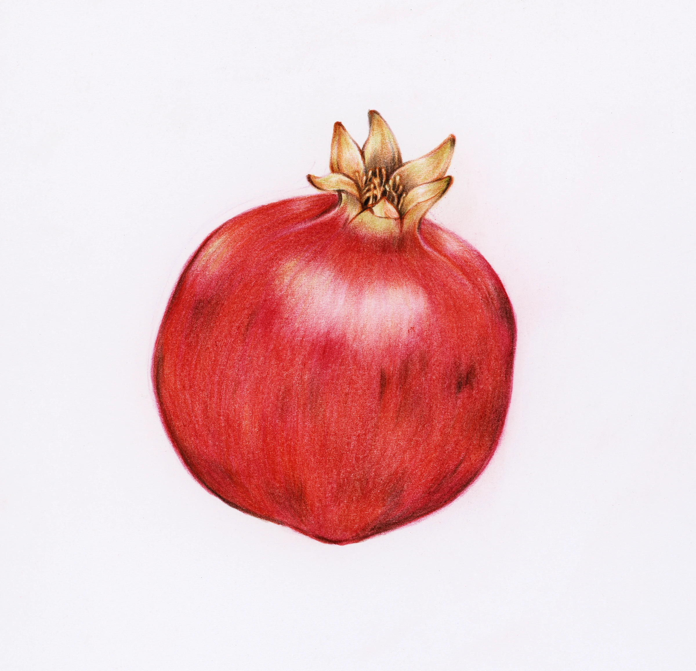 fruitss (185)