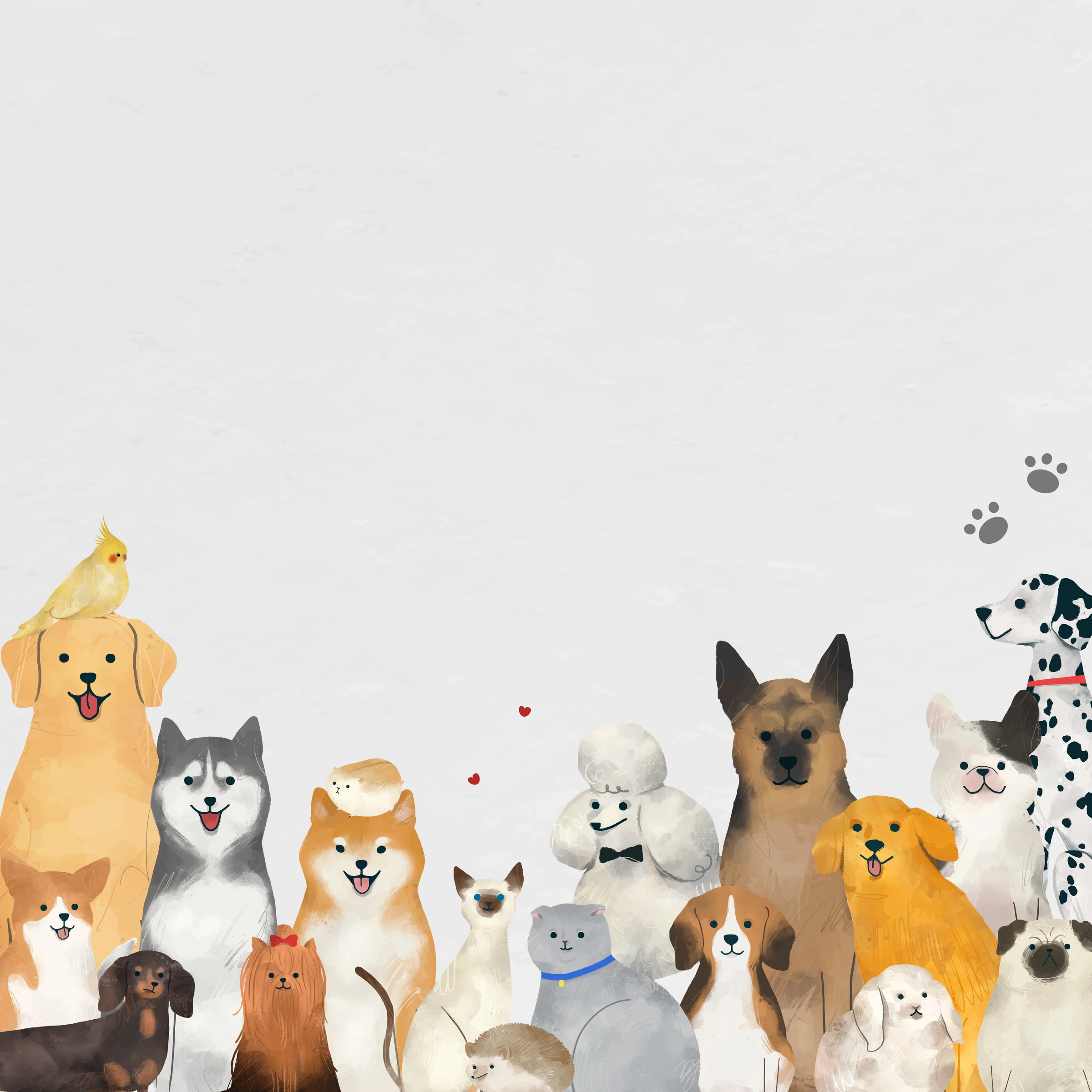 animals (21)