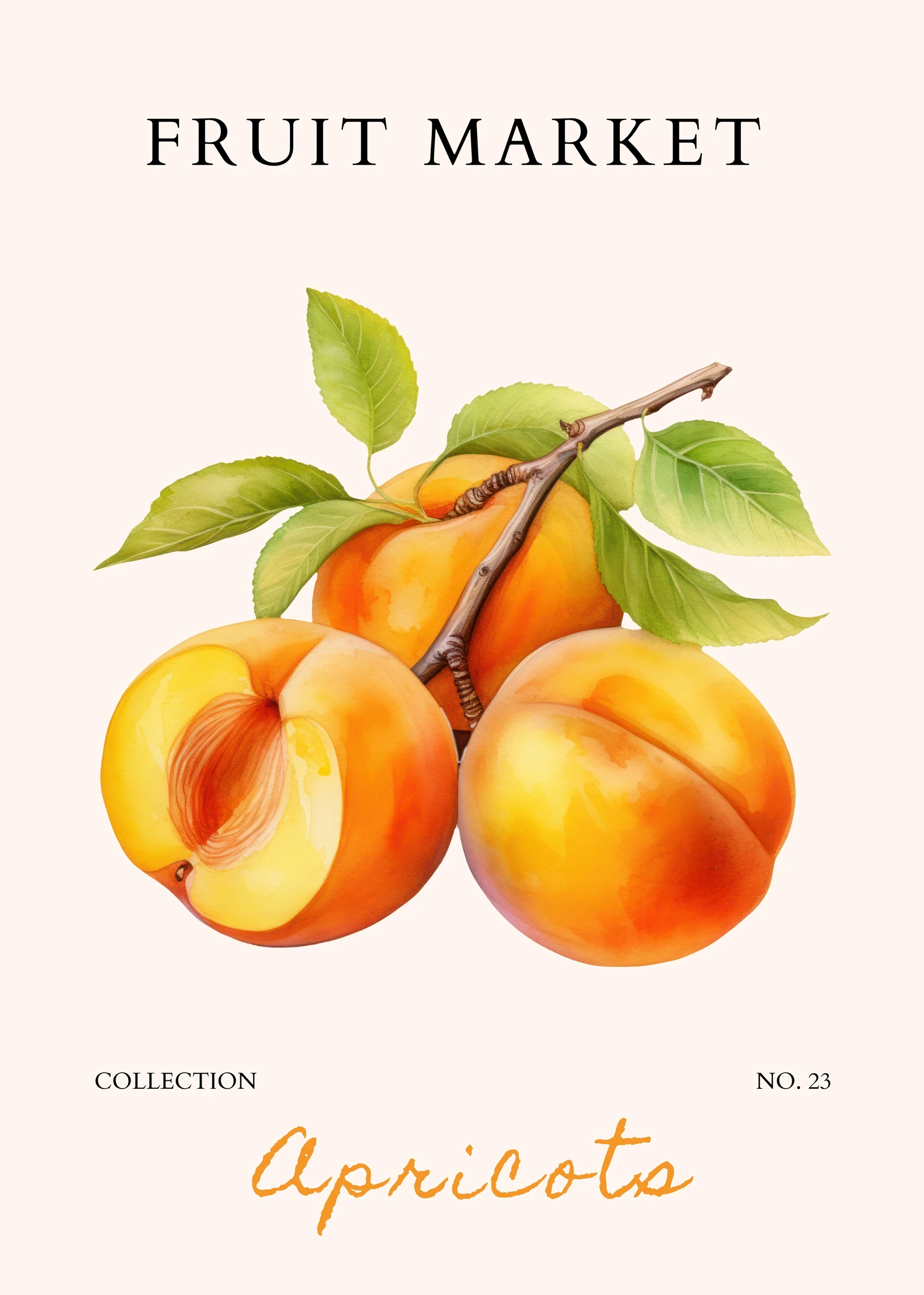 Copy of 29