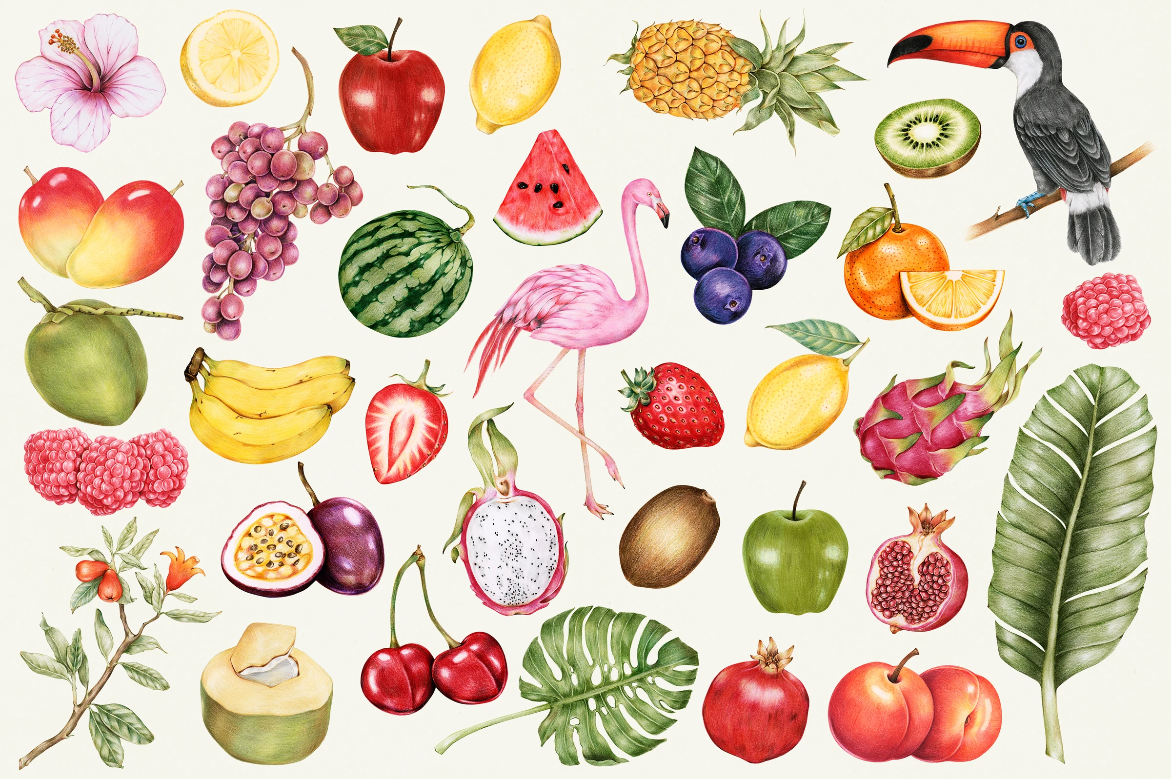 fruitss (199)