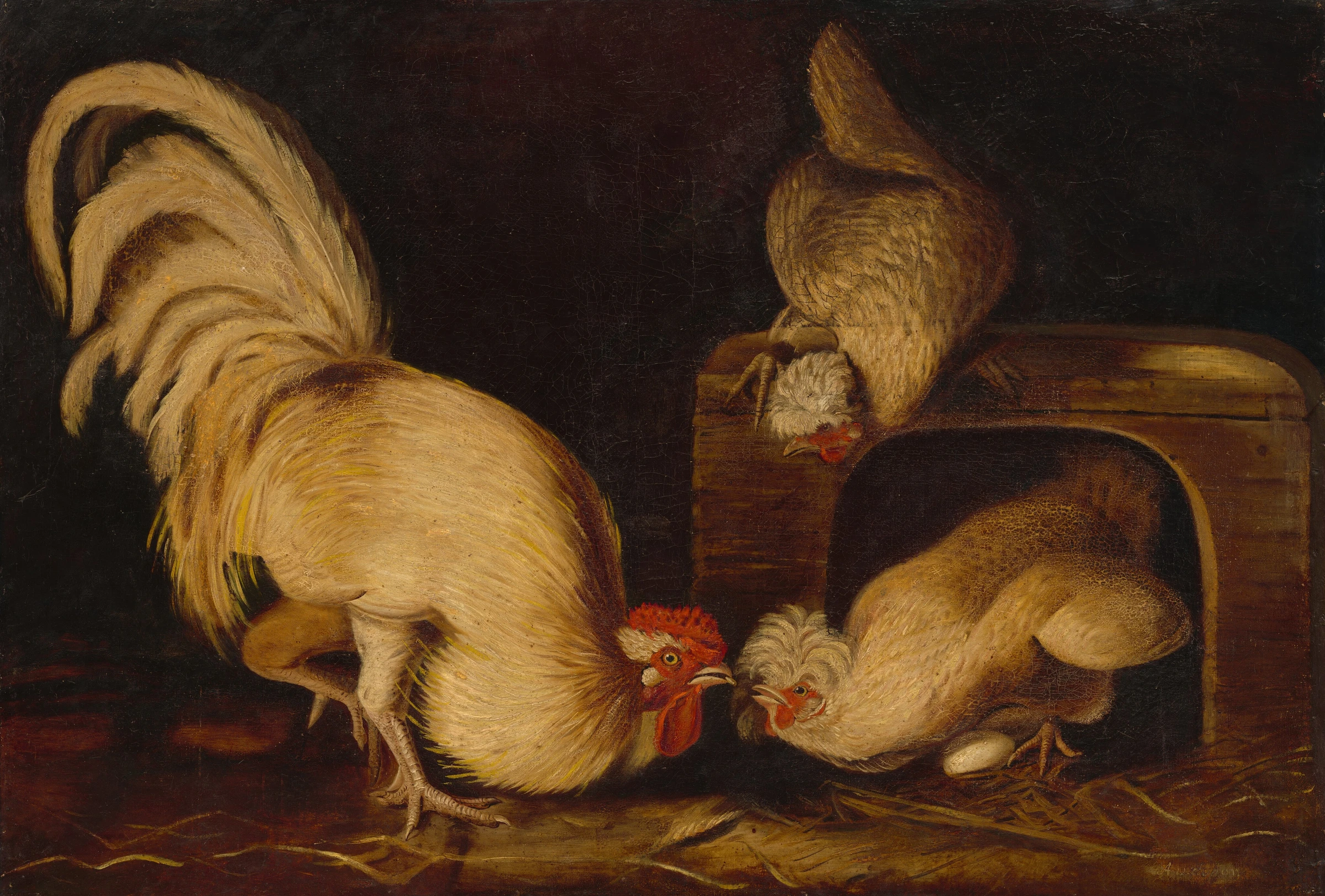 Farmyard Fowls 1951.9.3