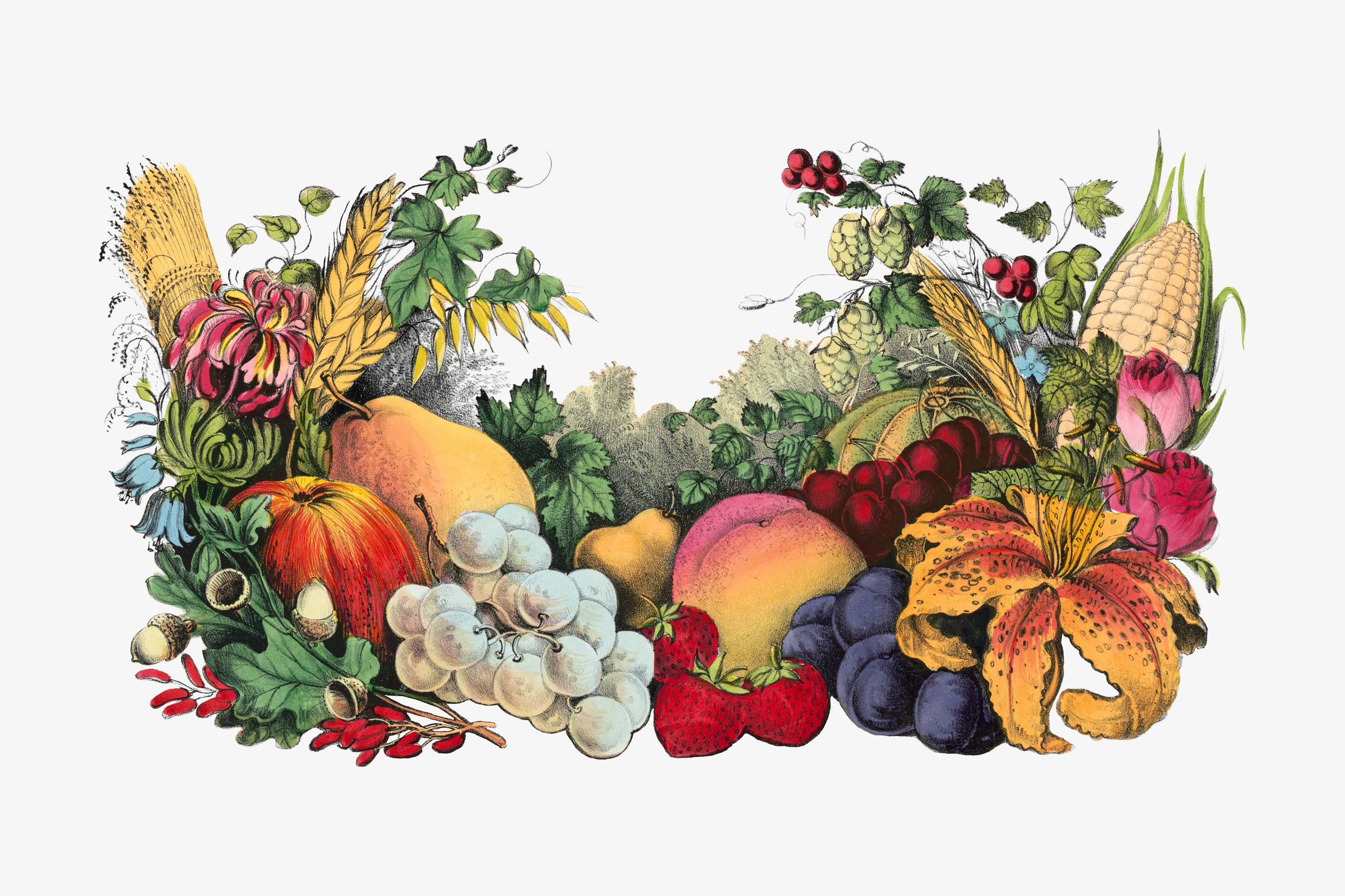 fruitss (176)