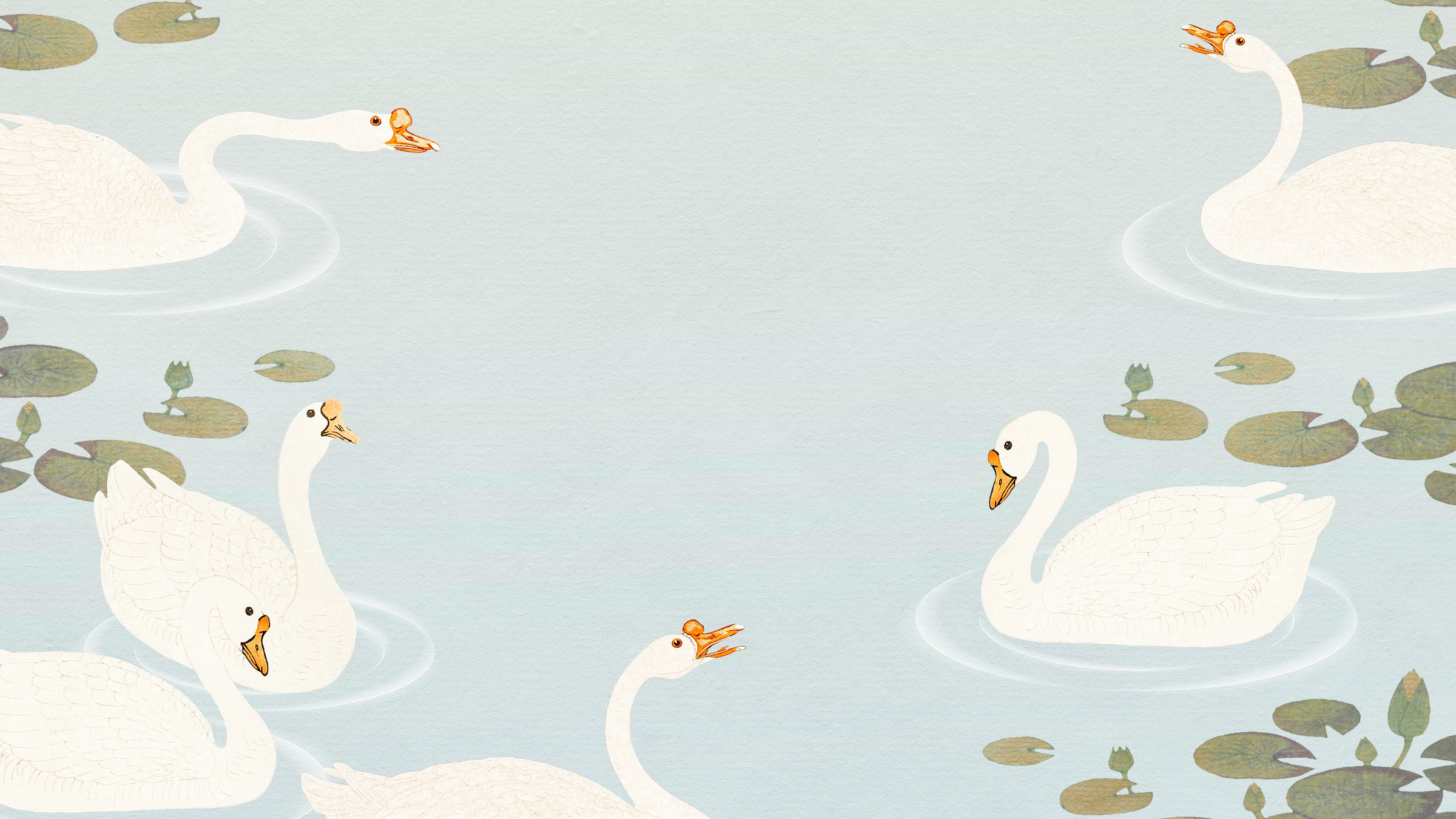 aanimals79