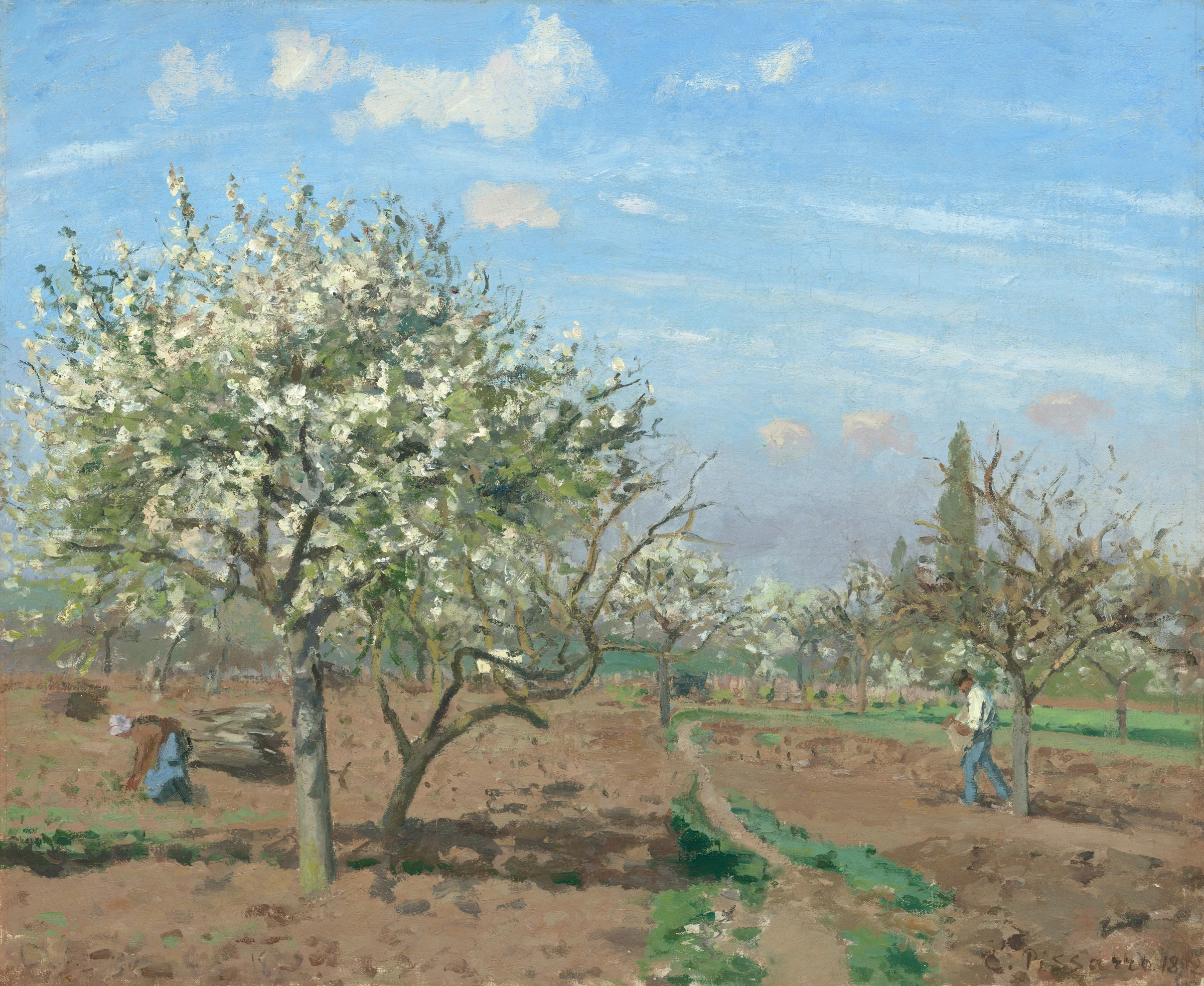 Orchard In Bloom, Louveciennes 1970.17.51