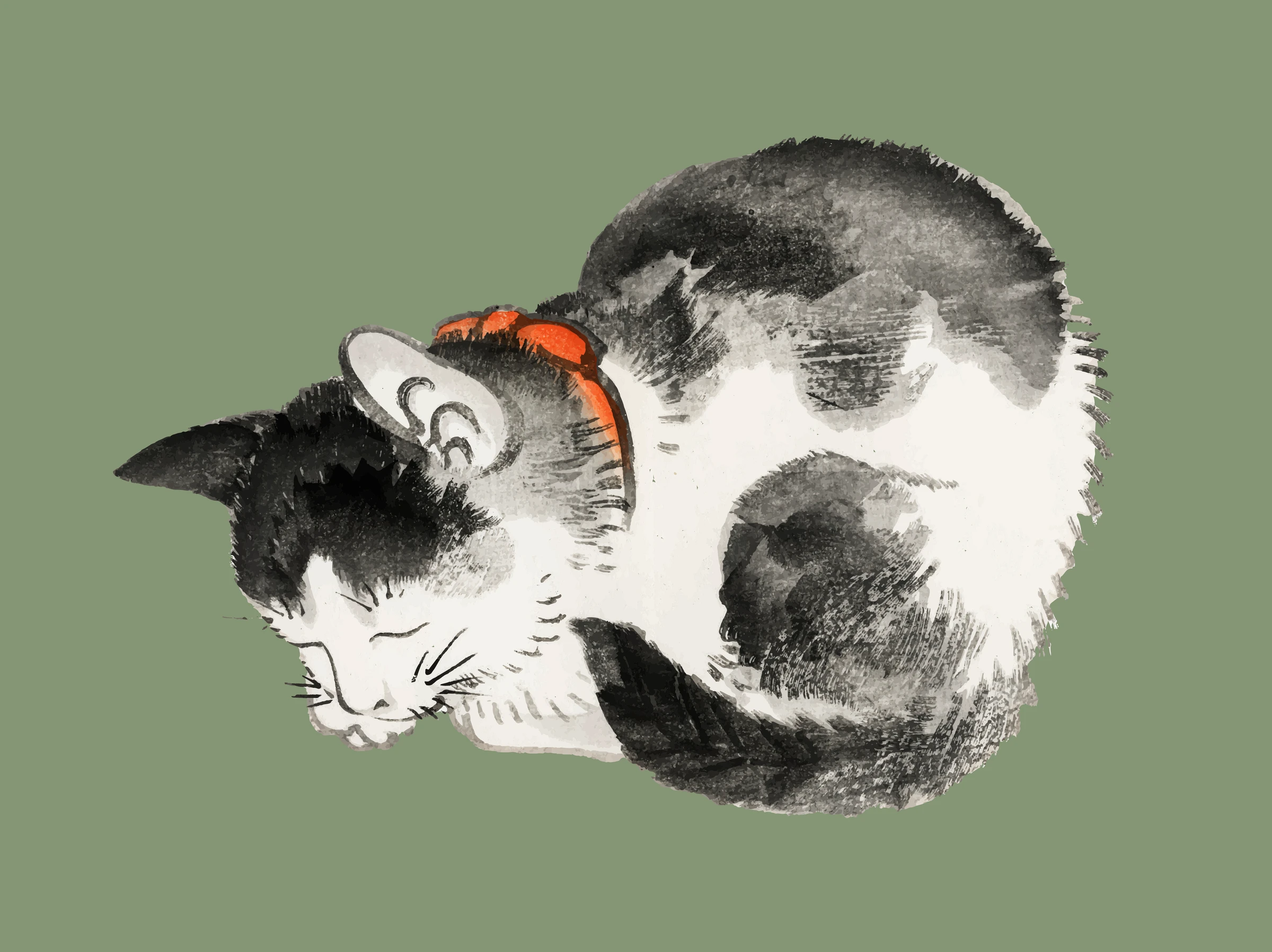 animals (225)