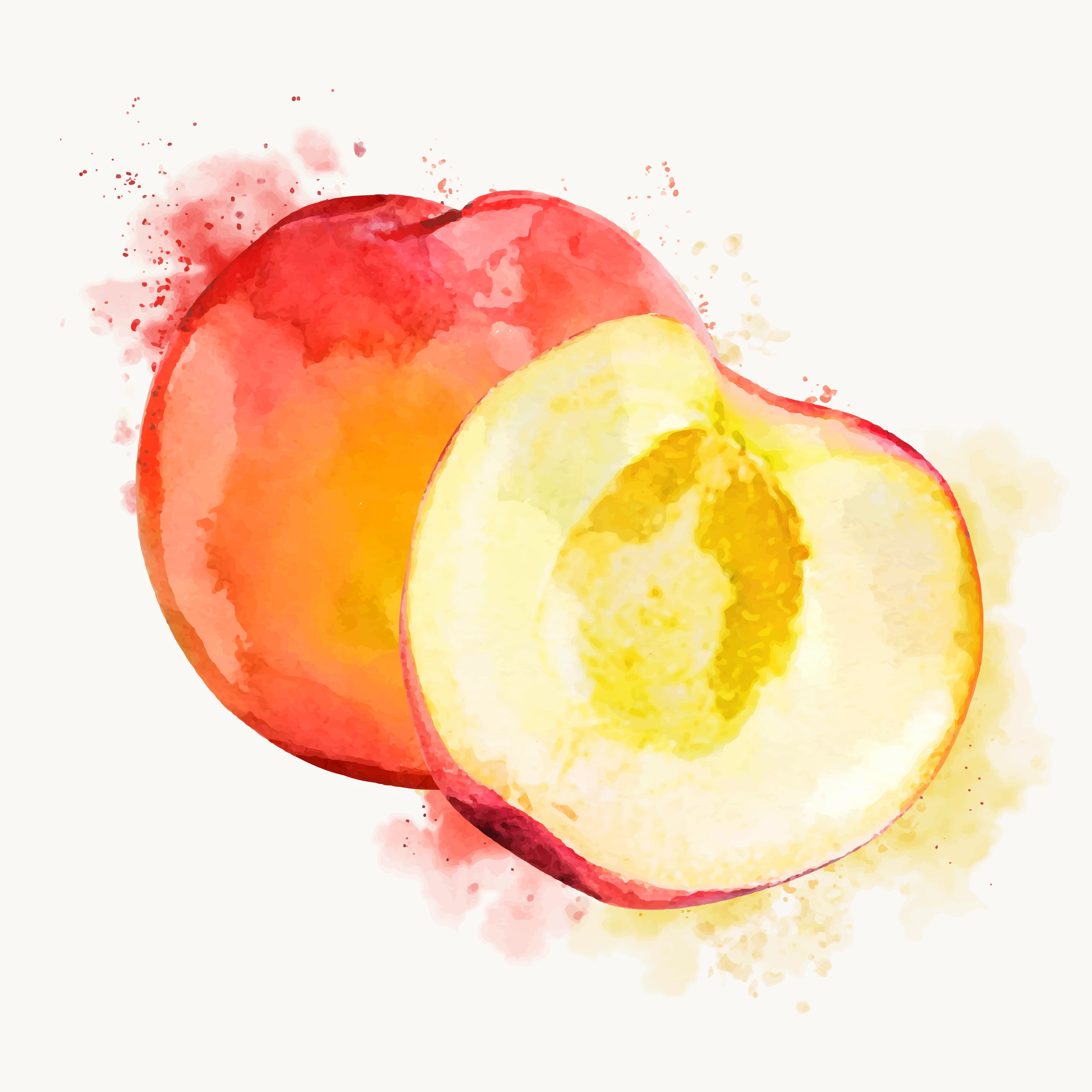 fruitss (140)