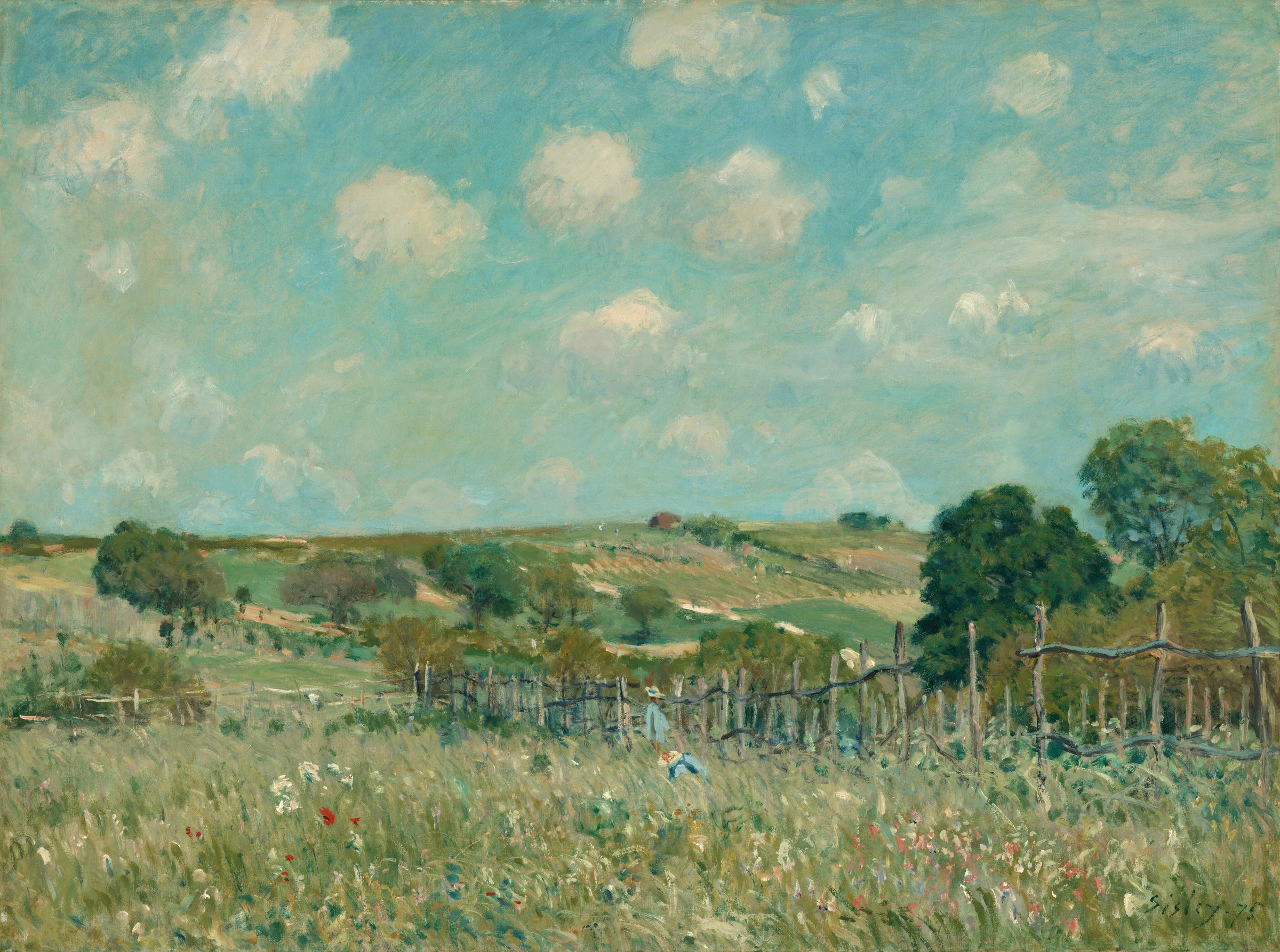 Meadow 1970.17.83