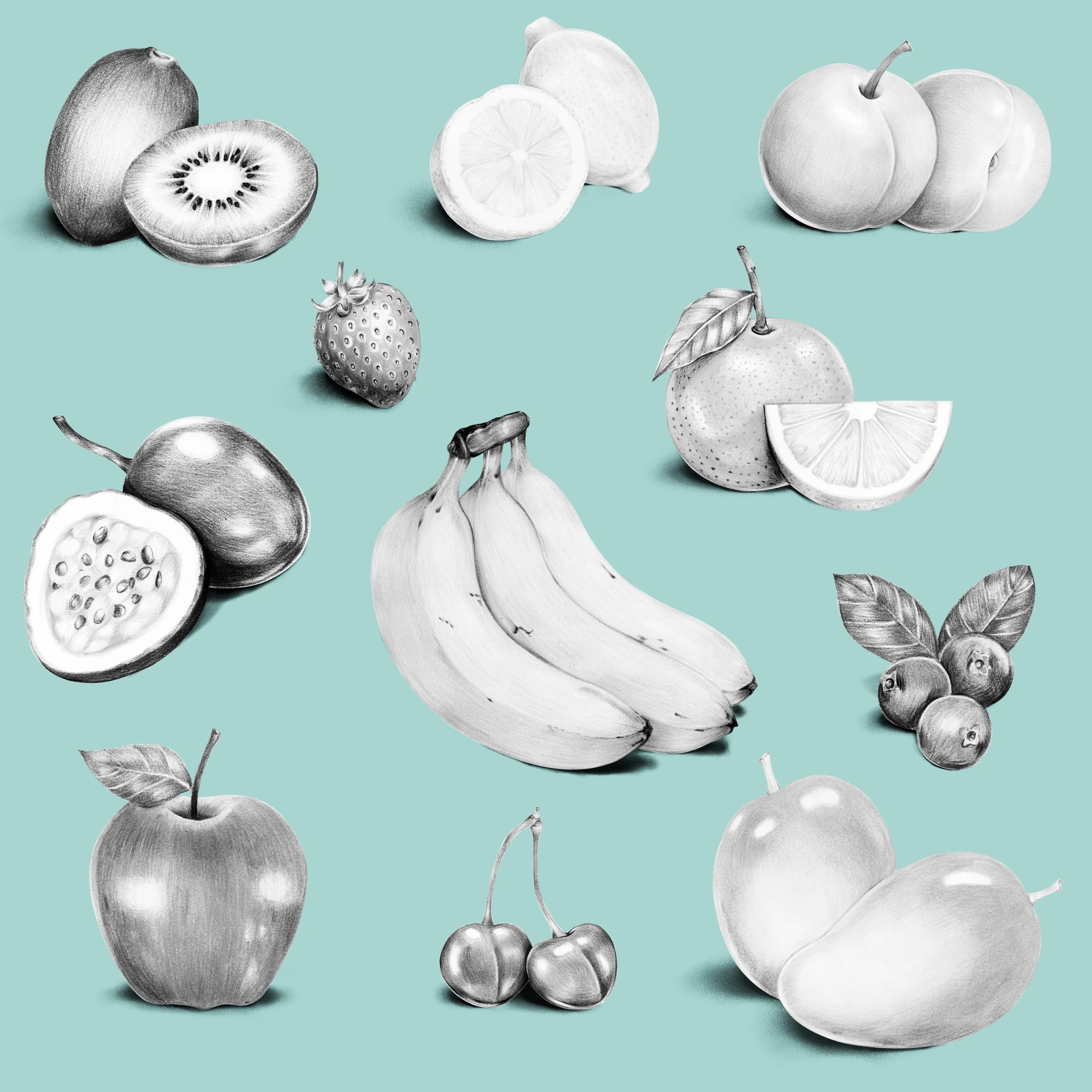 fruits484