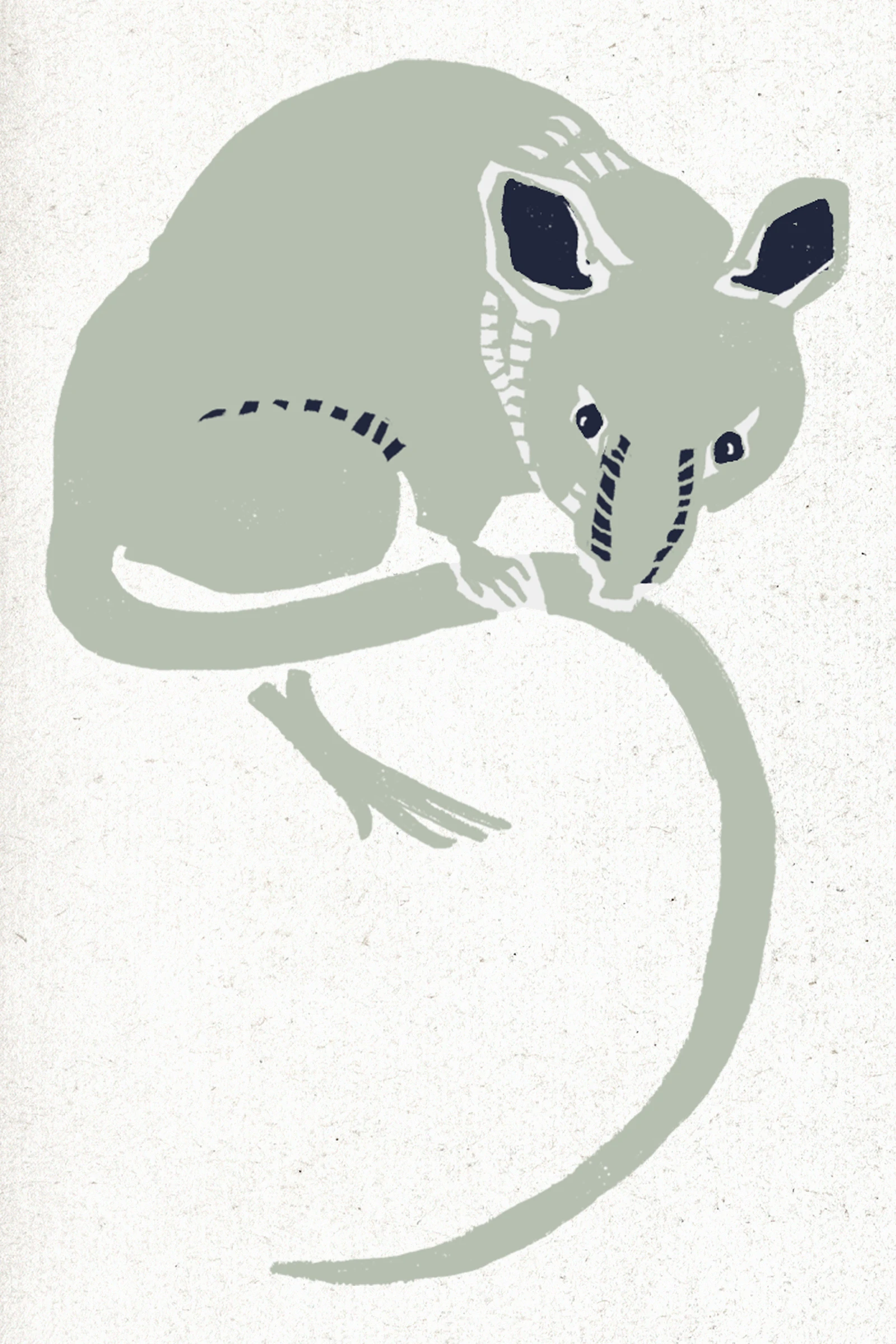 animals (14)