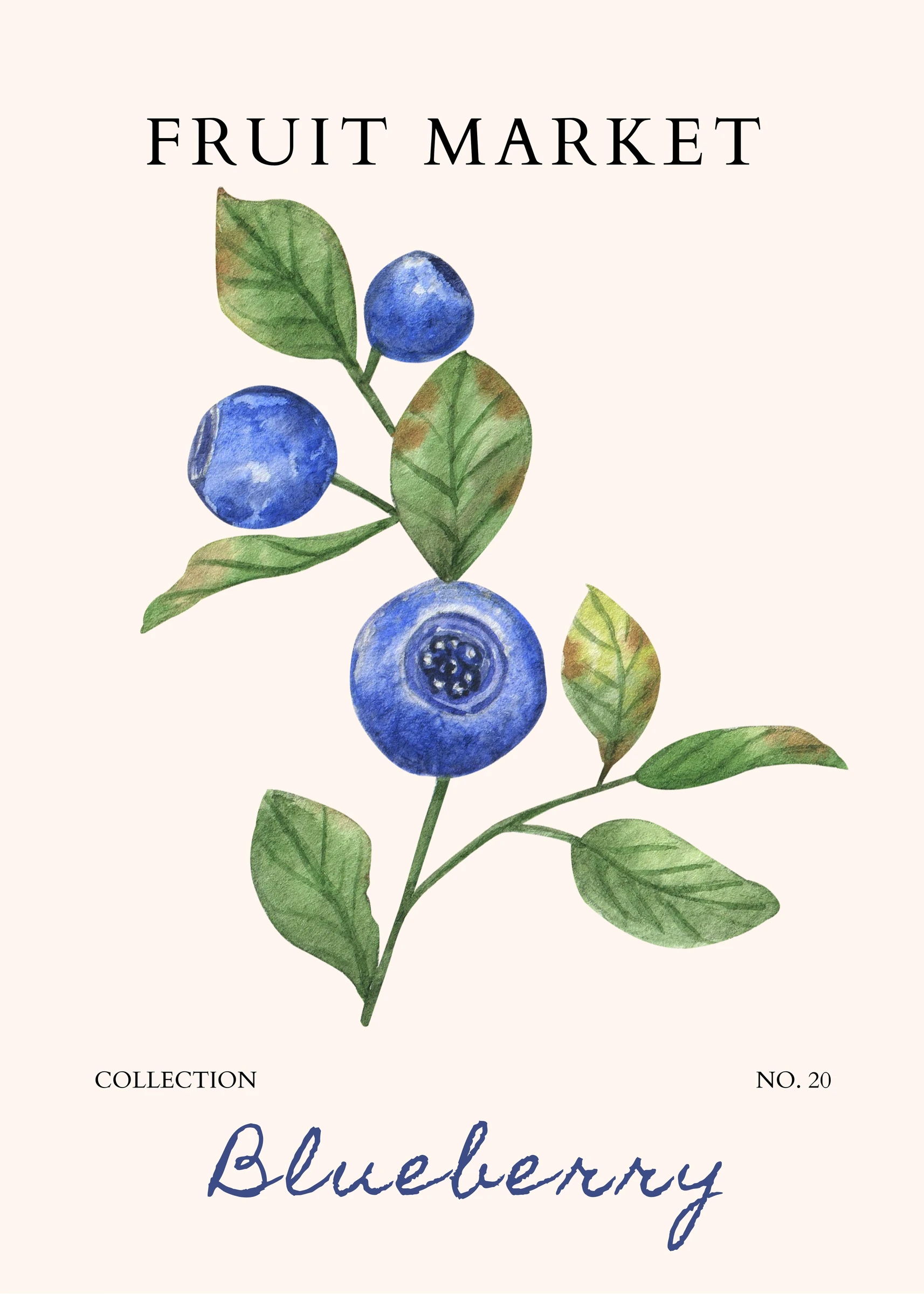 Copy of 25