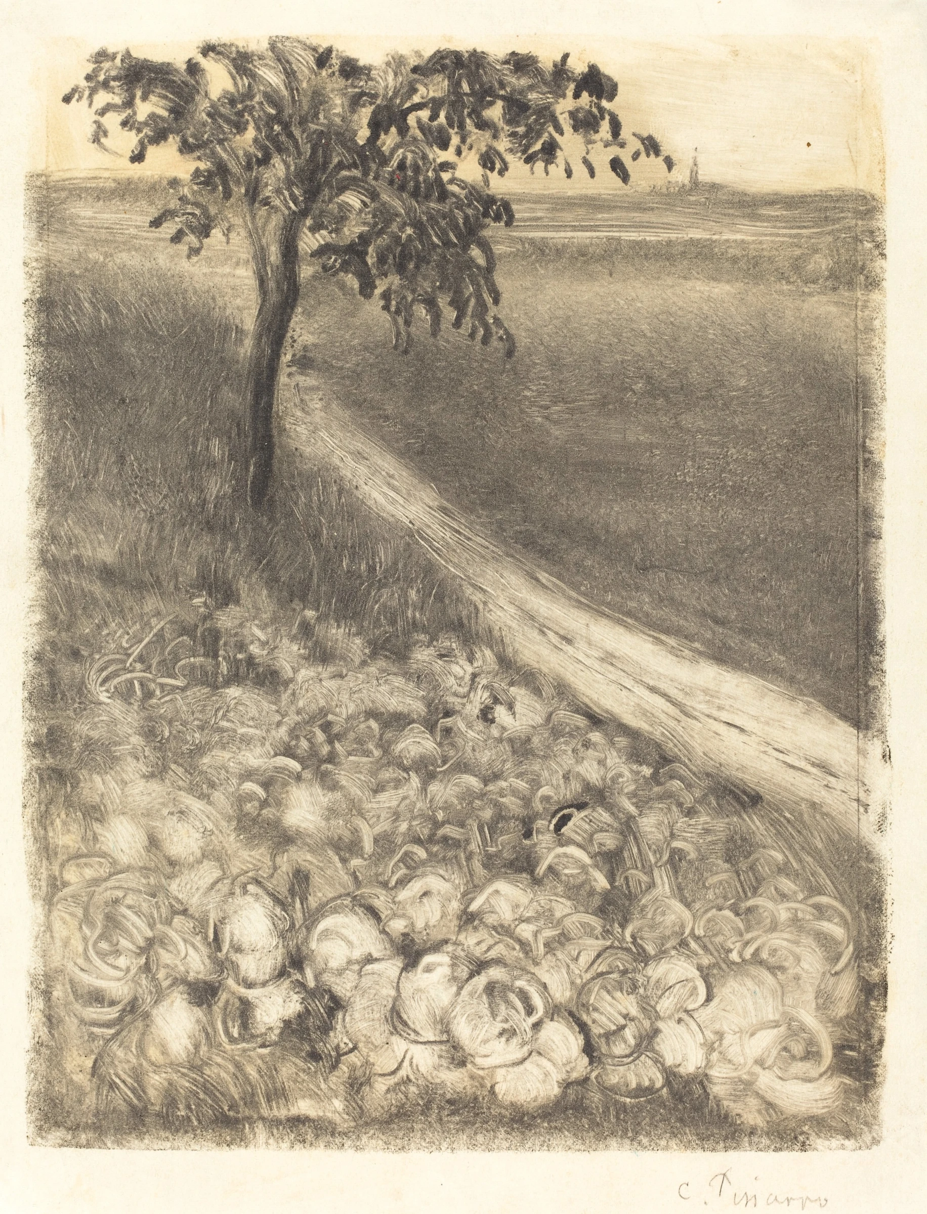 Road by a Field of Cabbages, 1880
