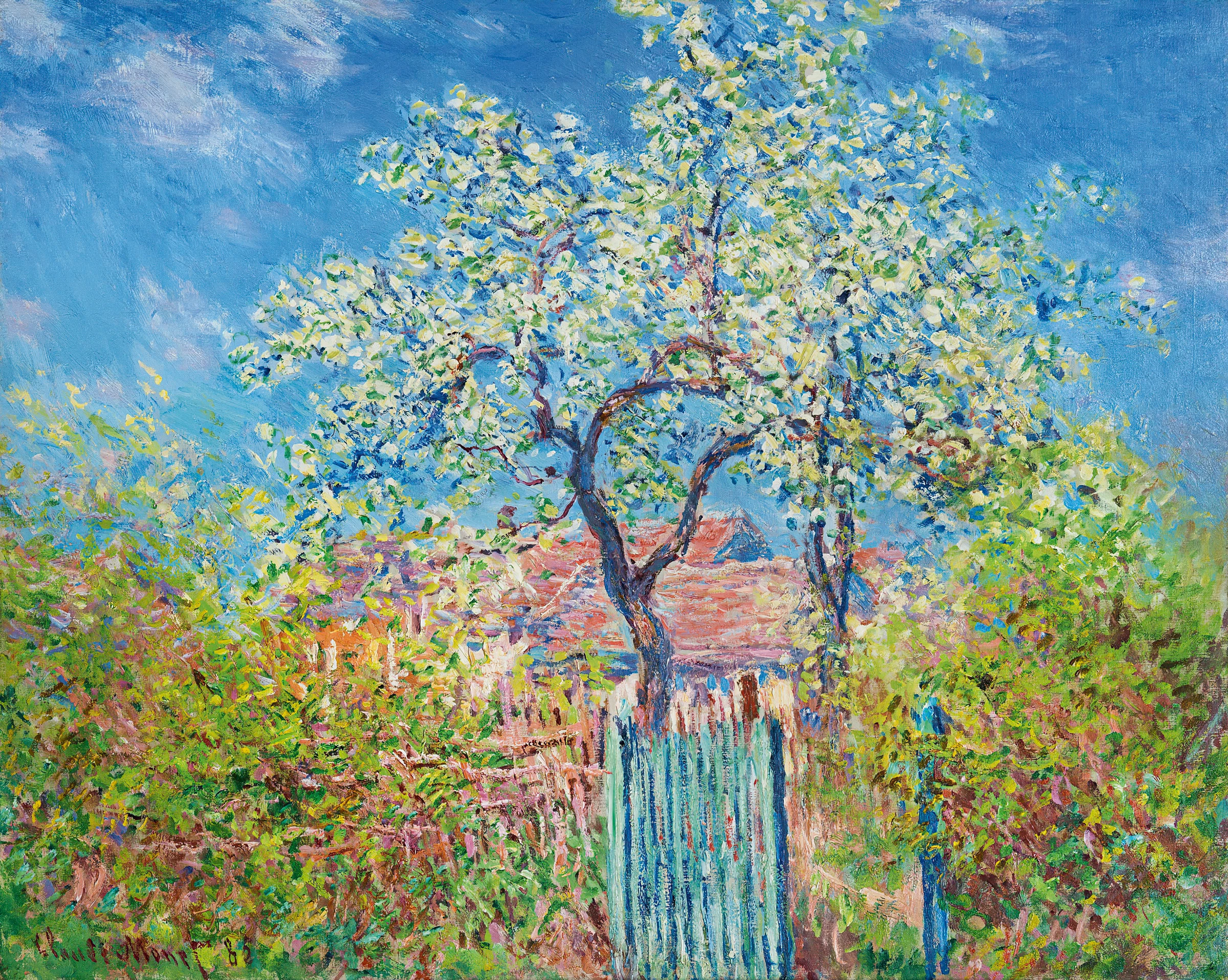 Flowering Tree Beside a Garden Gate