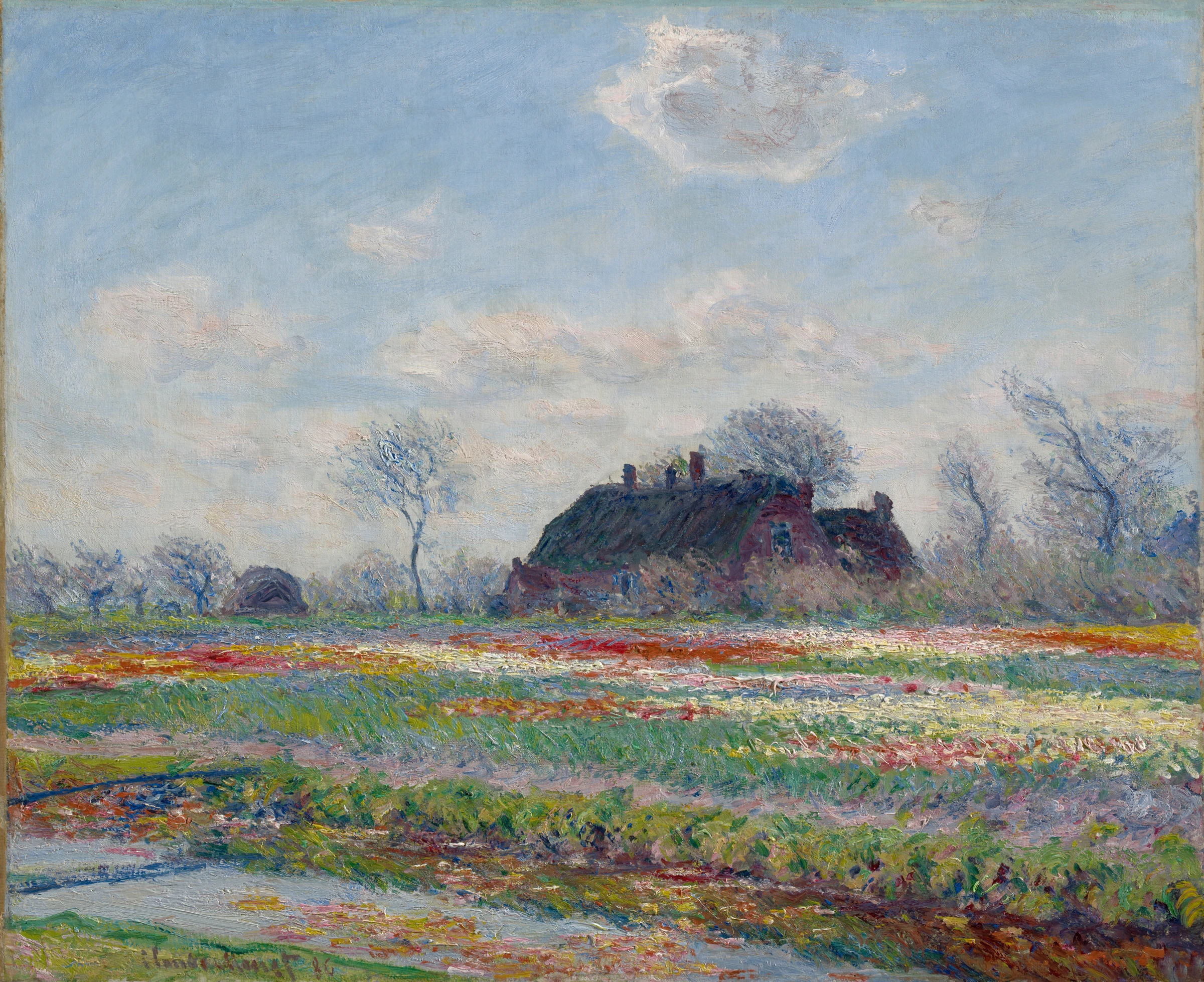 Claude Monet's Tulip Fields at Sassenheim, (1886)
