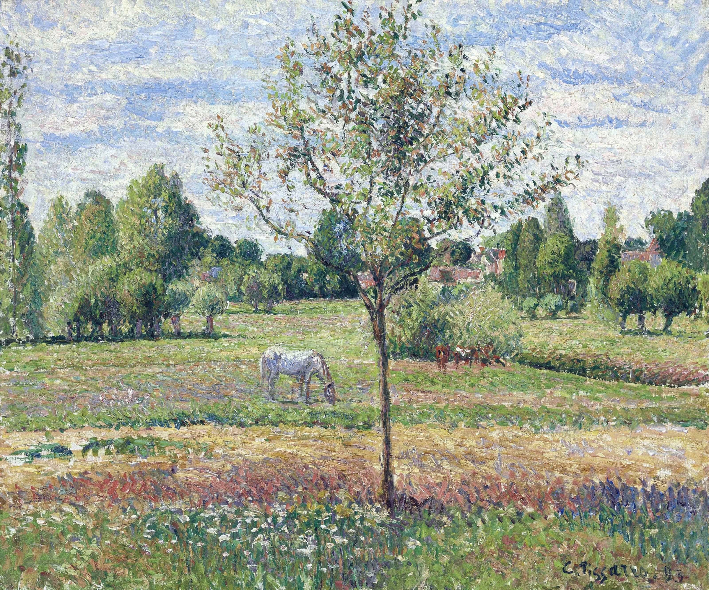 The Meadow with a Horse, Cloudly Weather, Eragny, 1893