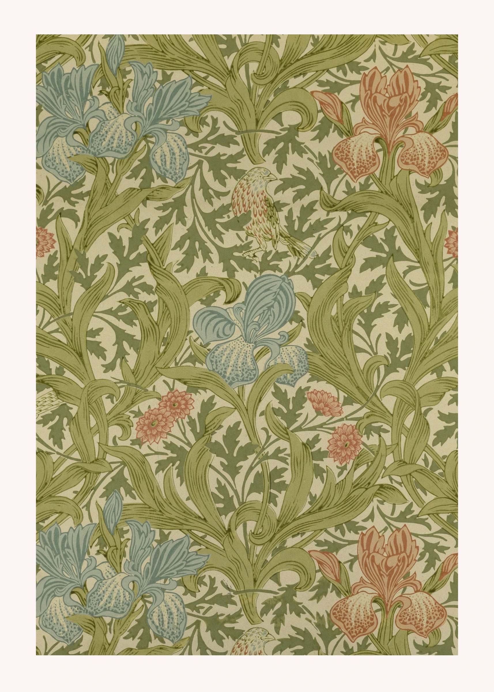 Muted Floral Vines with Birds