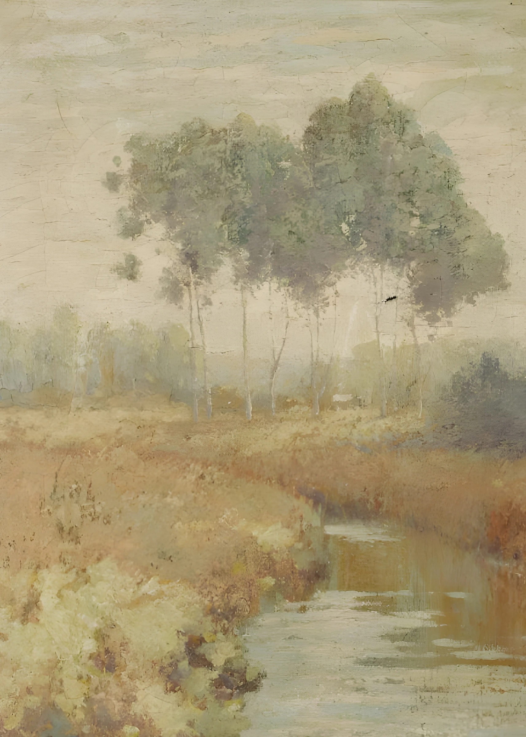 Misty Trees Beside a Narrow Stream