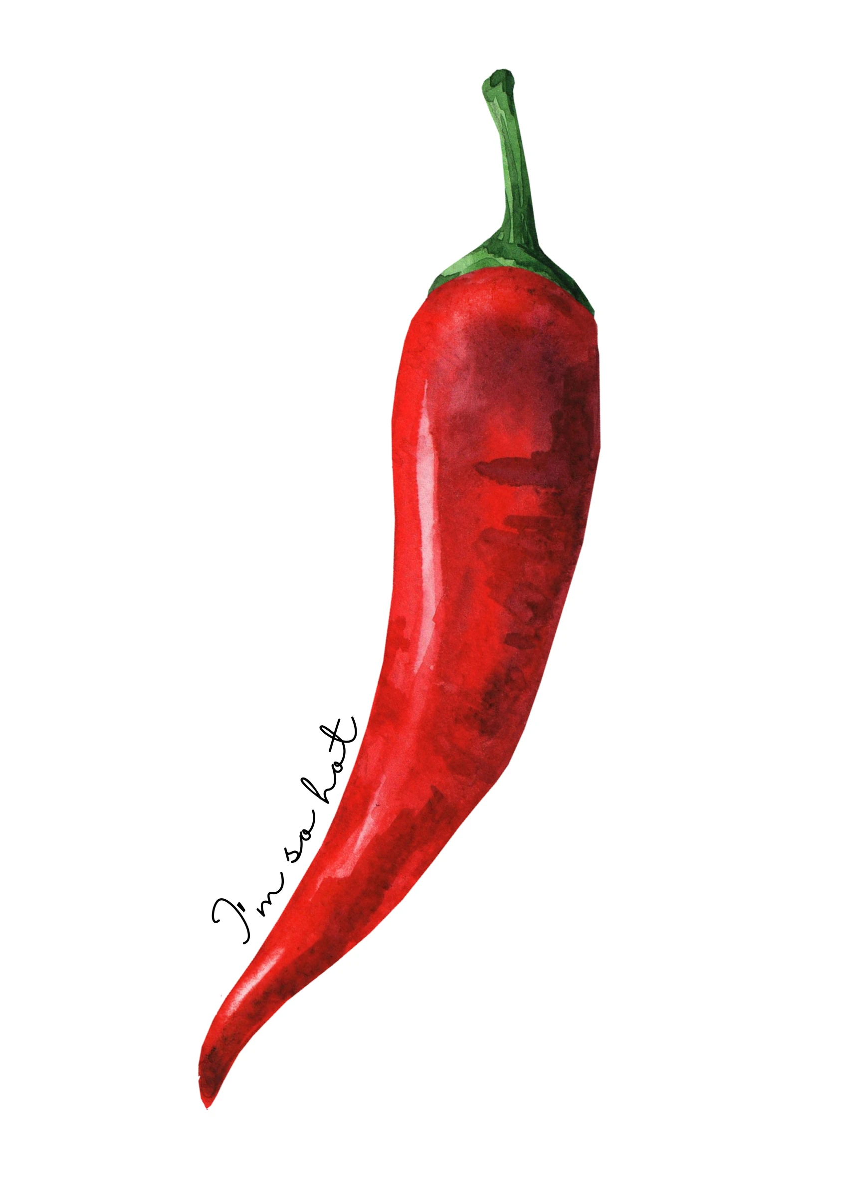 Single Red Chili Pepper