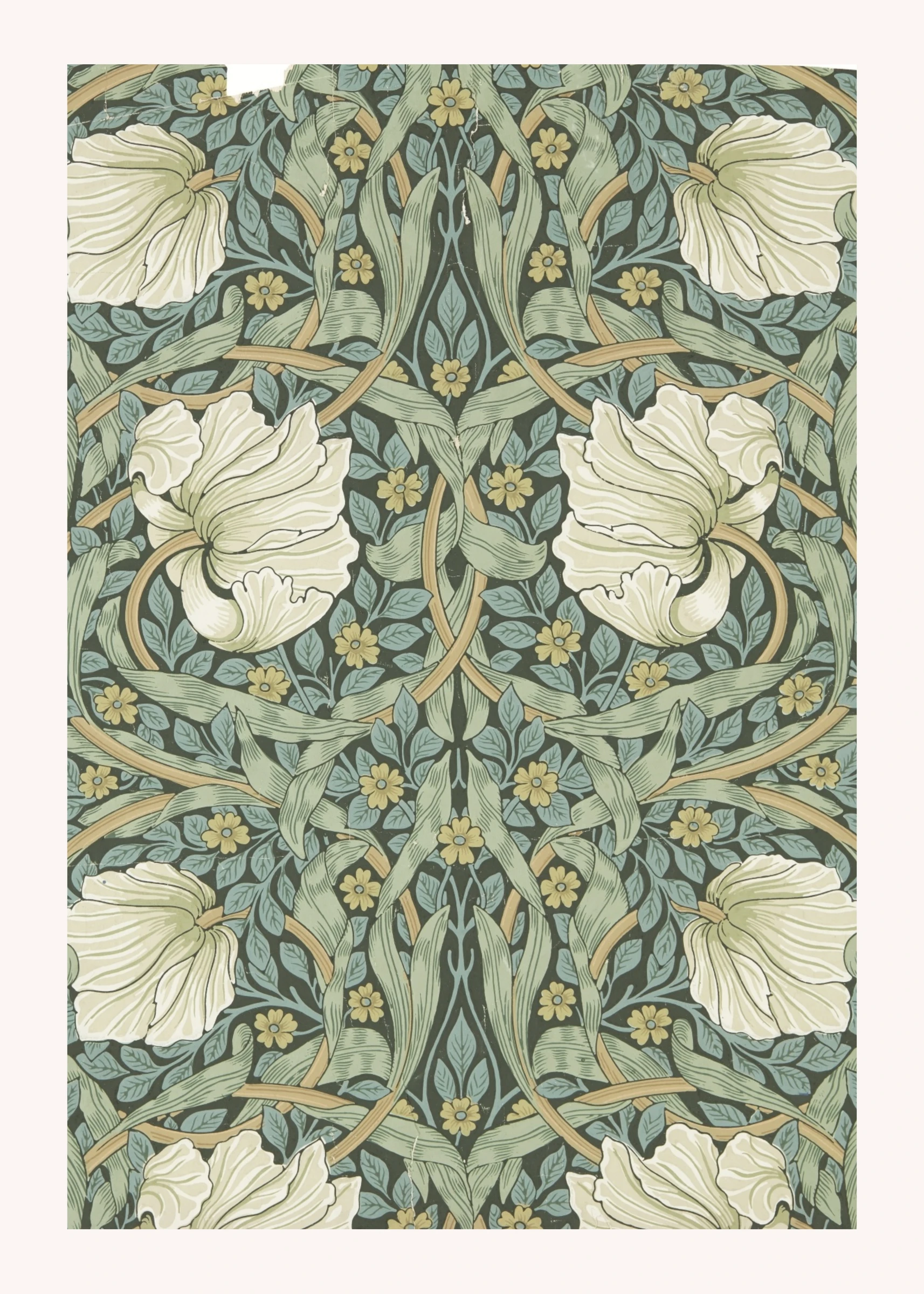 White Flowers in an Ornate Blue-Green Pattern