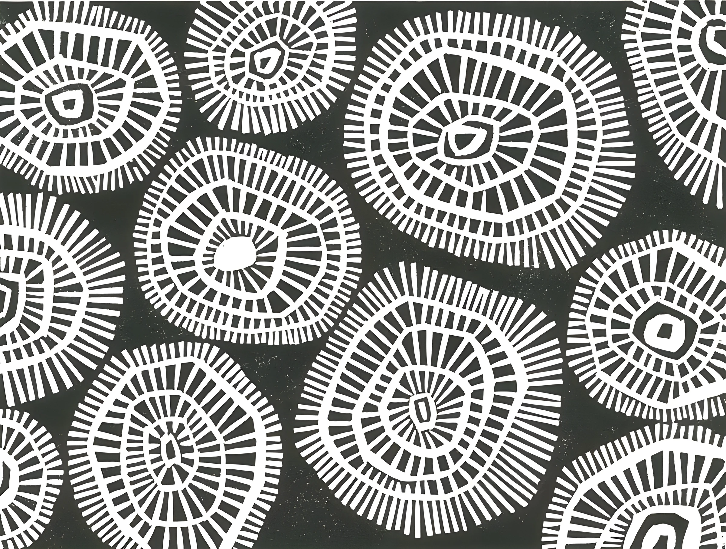 White Radial Flowers on Black