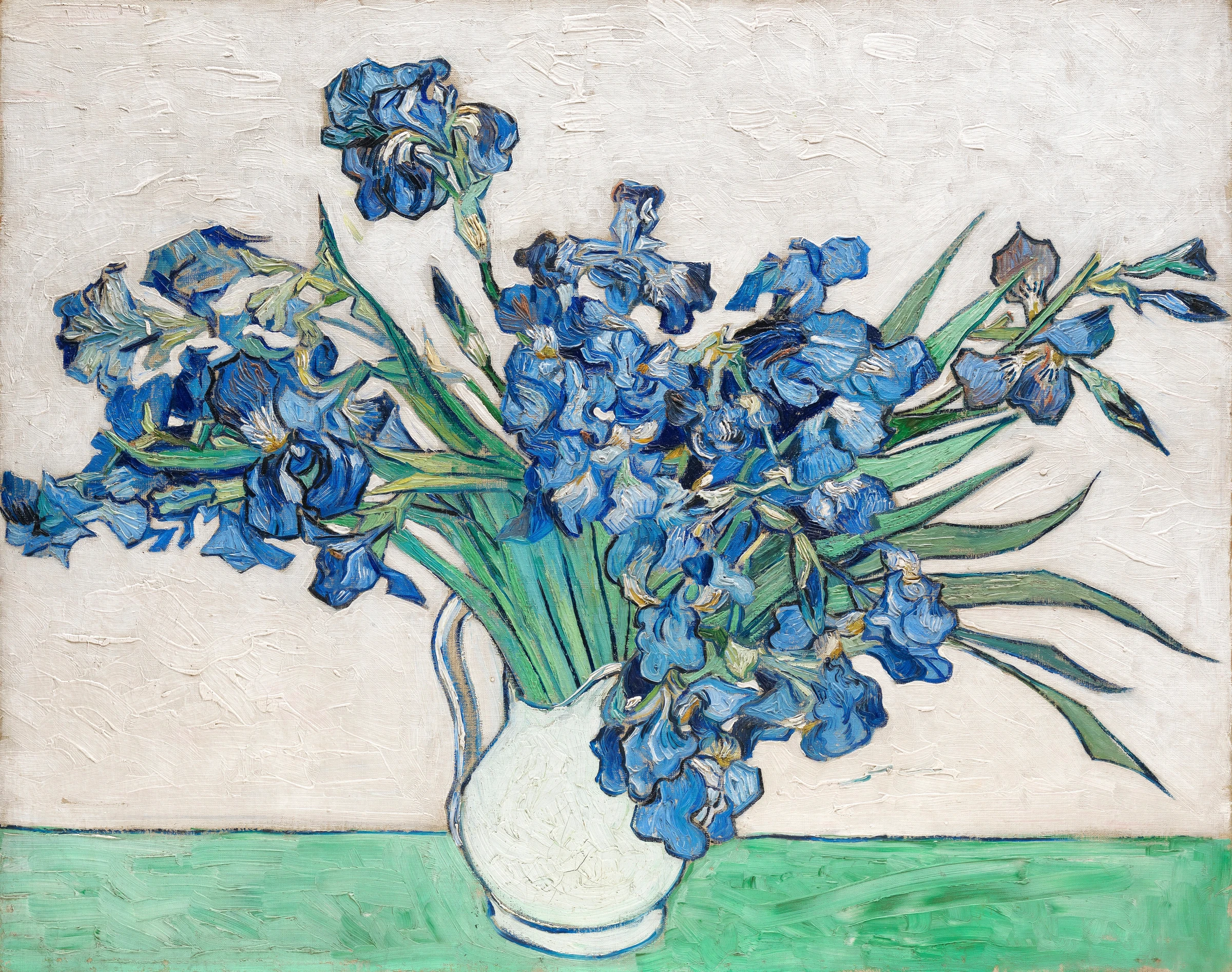 Vincent Van Gogh's Irises (1890)
