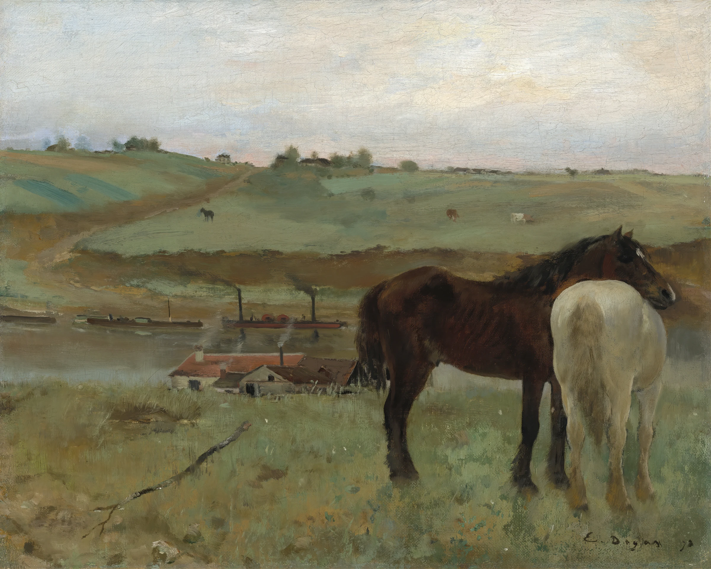 Horses Beside Open Pasture