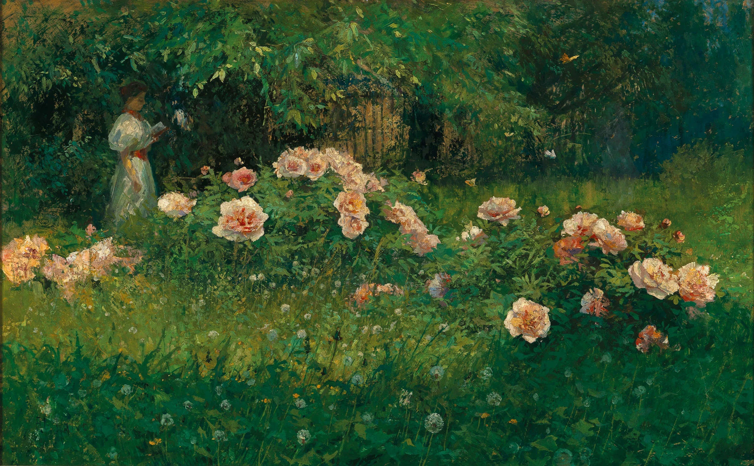 Pink Flowers in a Shaded Garden