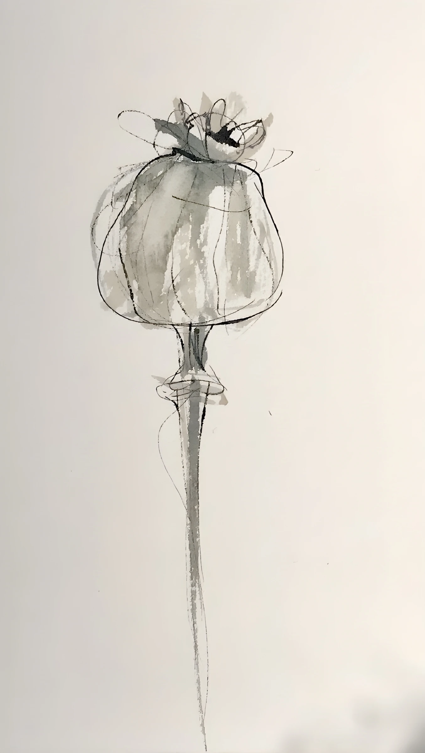 Delicate Seed Pod Study