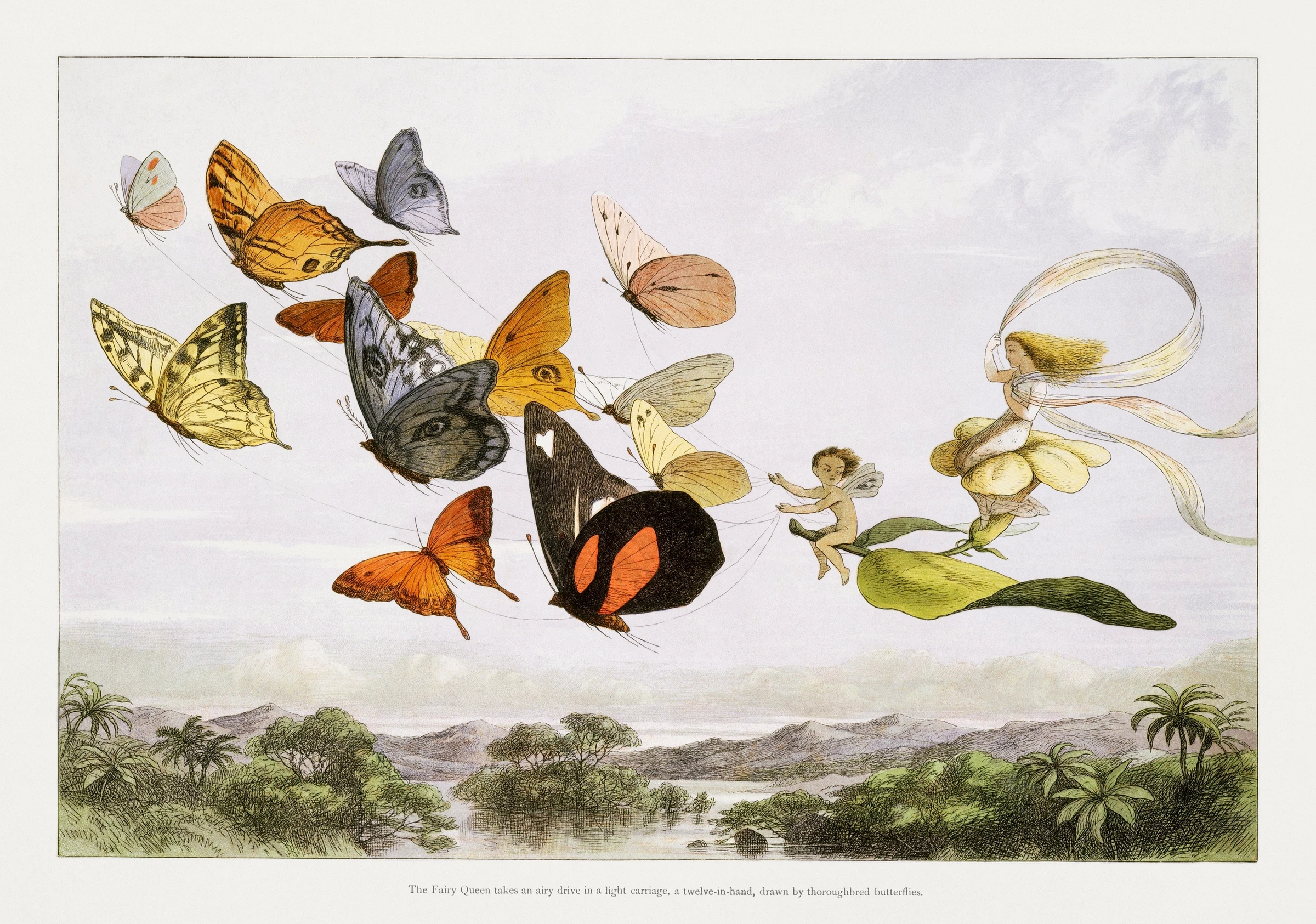 The Fairy Queen Takes an Airy Drive in a Light Carriage, a Twelve&ndash;in&ndash;hand, drawn by Thoroughbred Butterflies (1870) by Richard Doyle