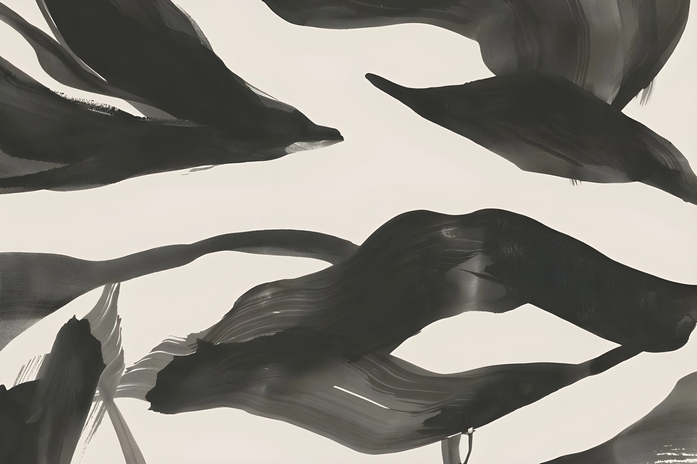 Broad Organic Black Stripes