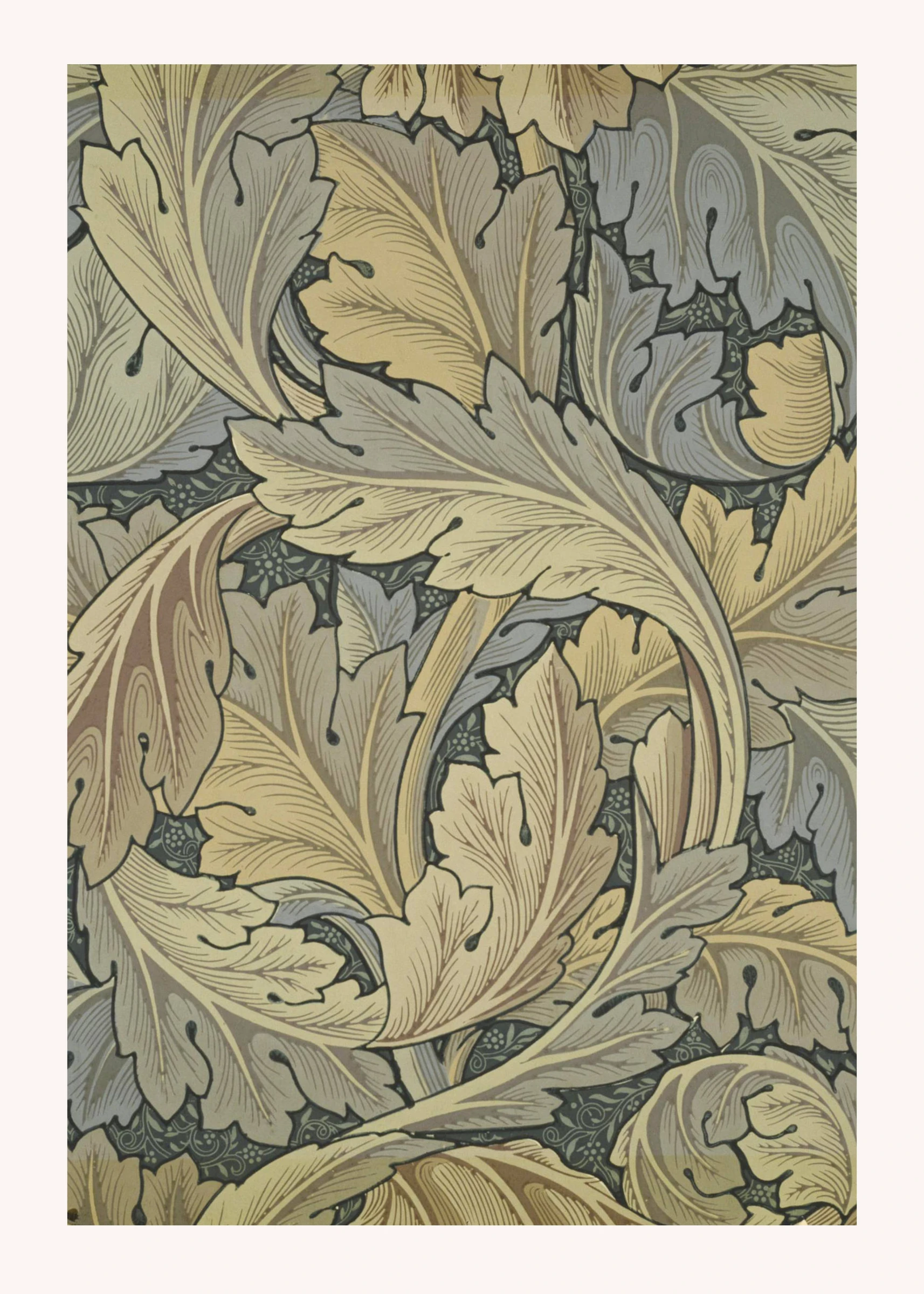 Large Curling Acanthus Leaves